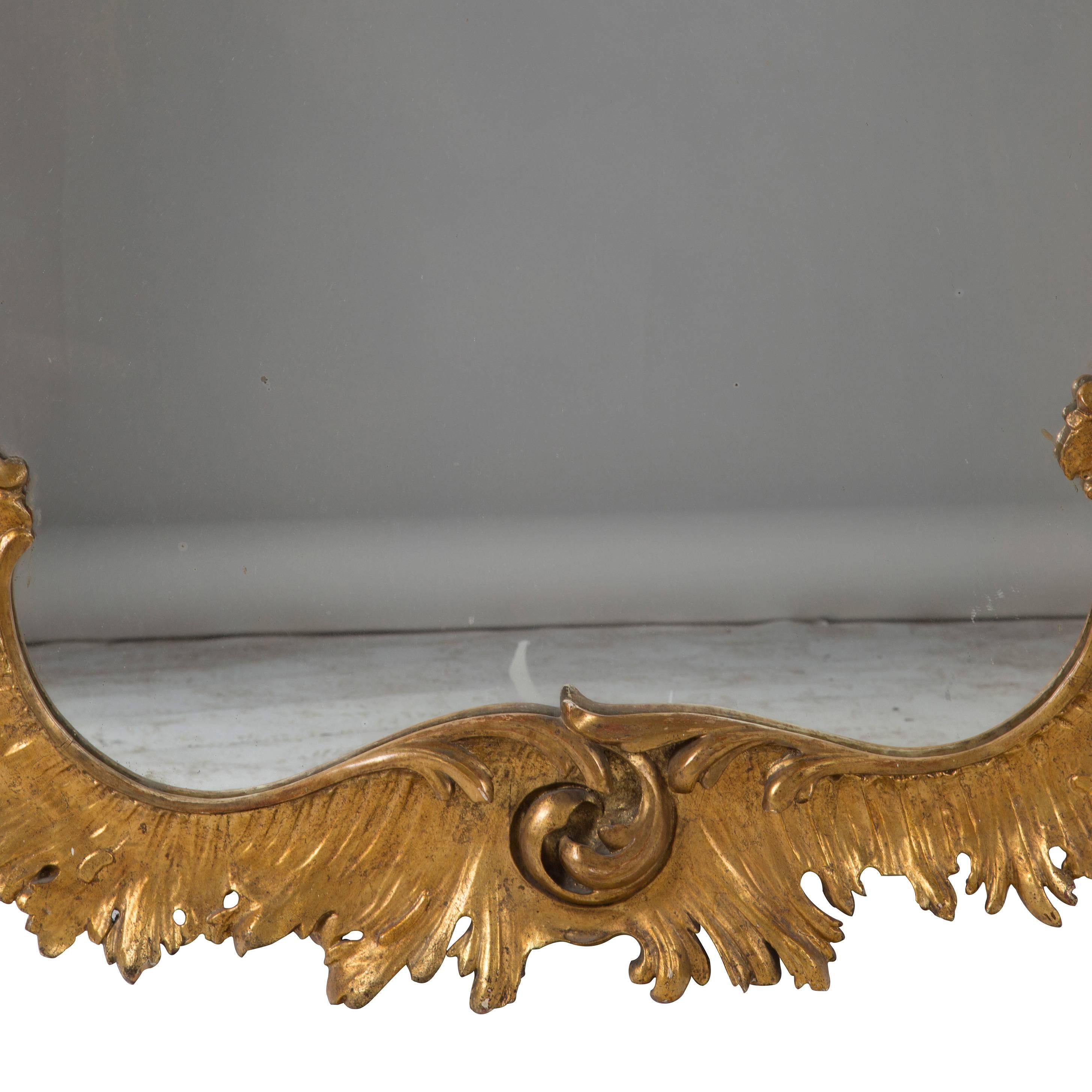 Large Early 19th Century Italian Mirror in Rococo Style In Good Condition In Gloucestershire, GB