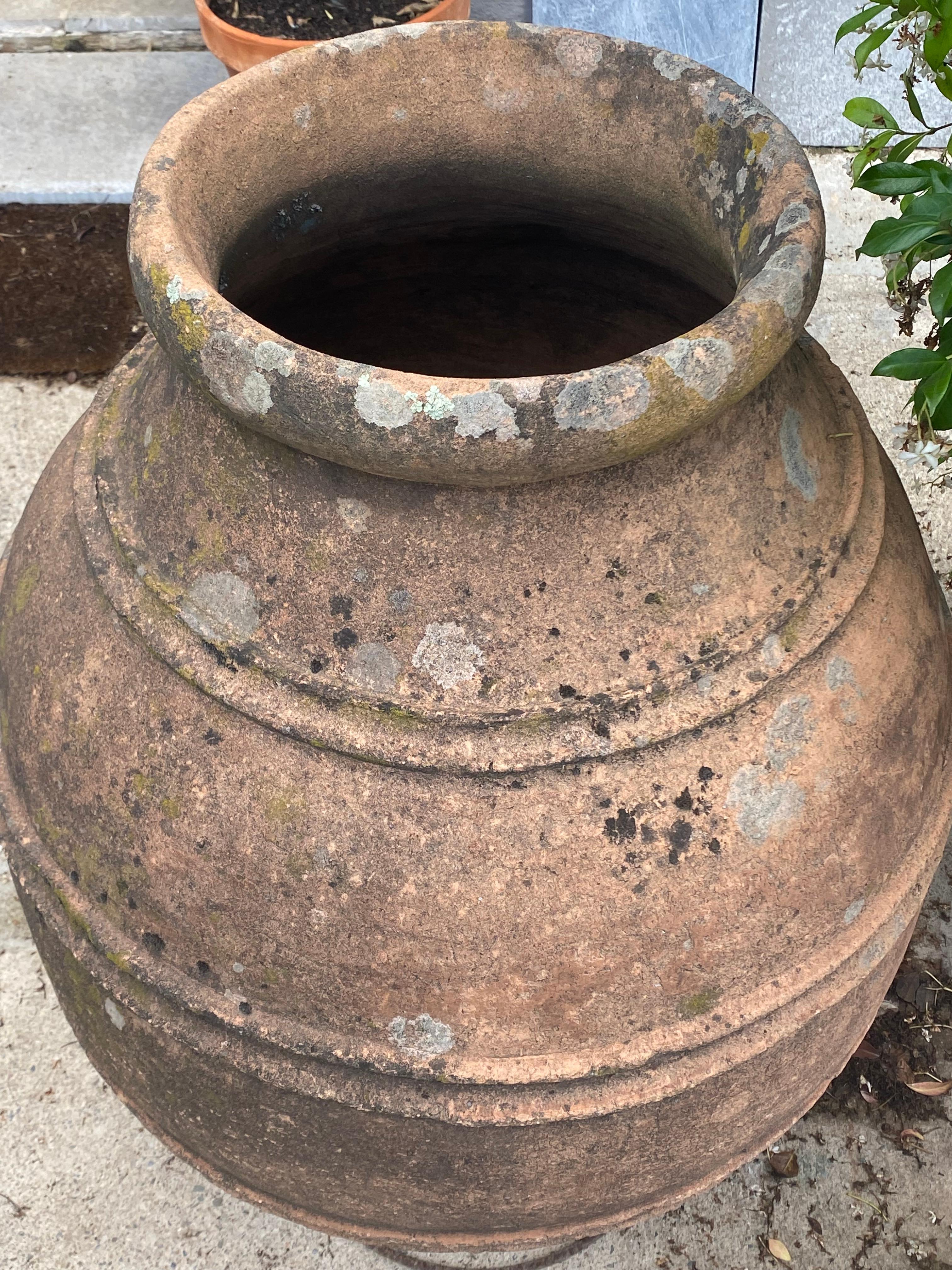 Grande vaso dell'inizio del XIX secolo Origine Portogallo In condizioni buone in vendita a SAN VICENTE DE ALCÁNTARA, ES