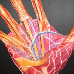 Large Early 20th c. French Medical Hand Model c.1920