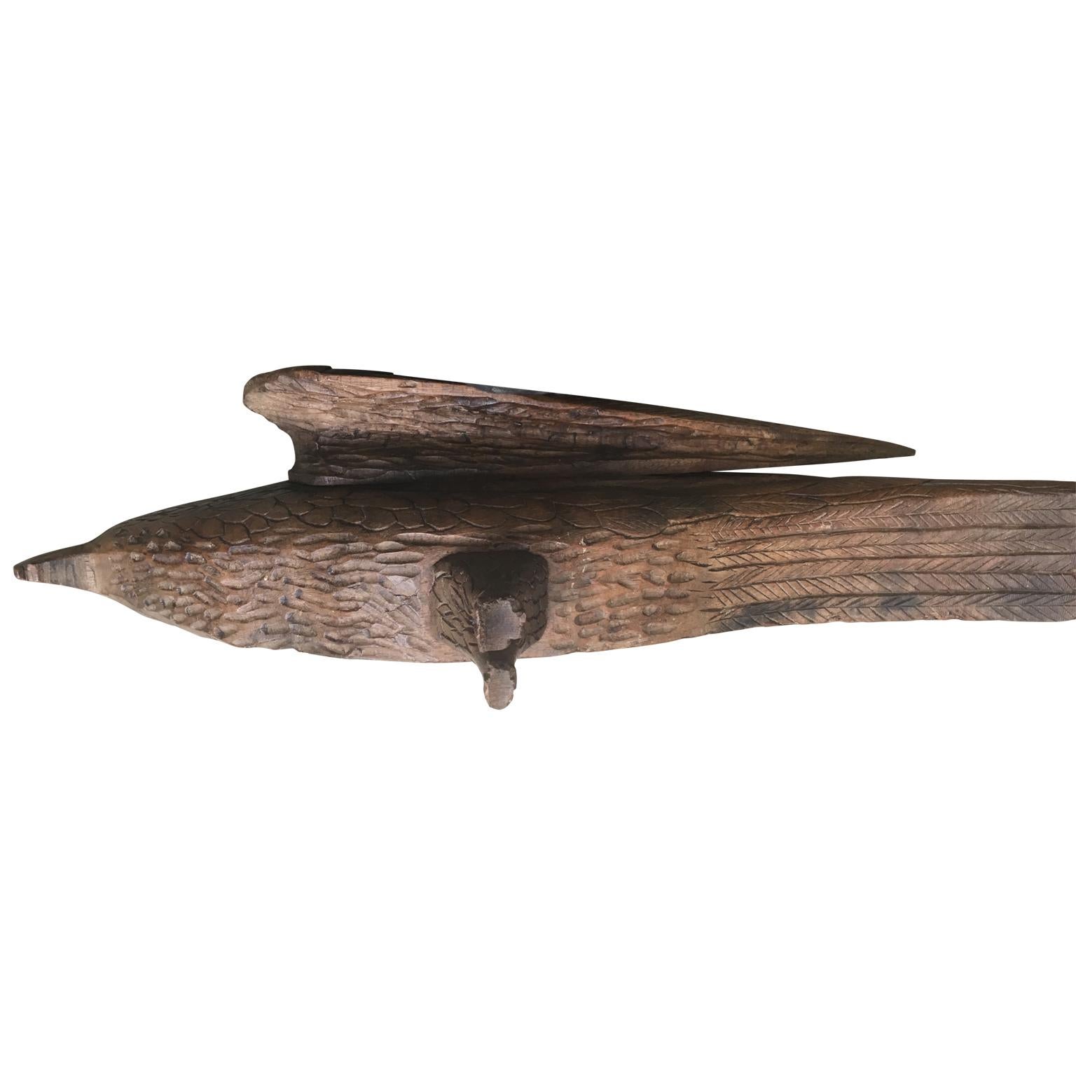 Große belgische Adler-Skulptur aus Eiche, Volkskunst des frühen 20. Jahrhunderts (Belgisch) im Angebot