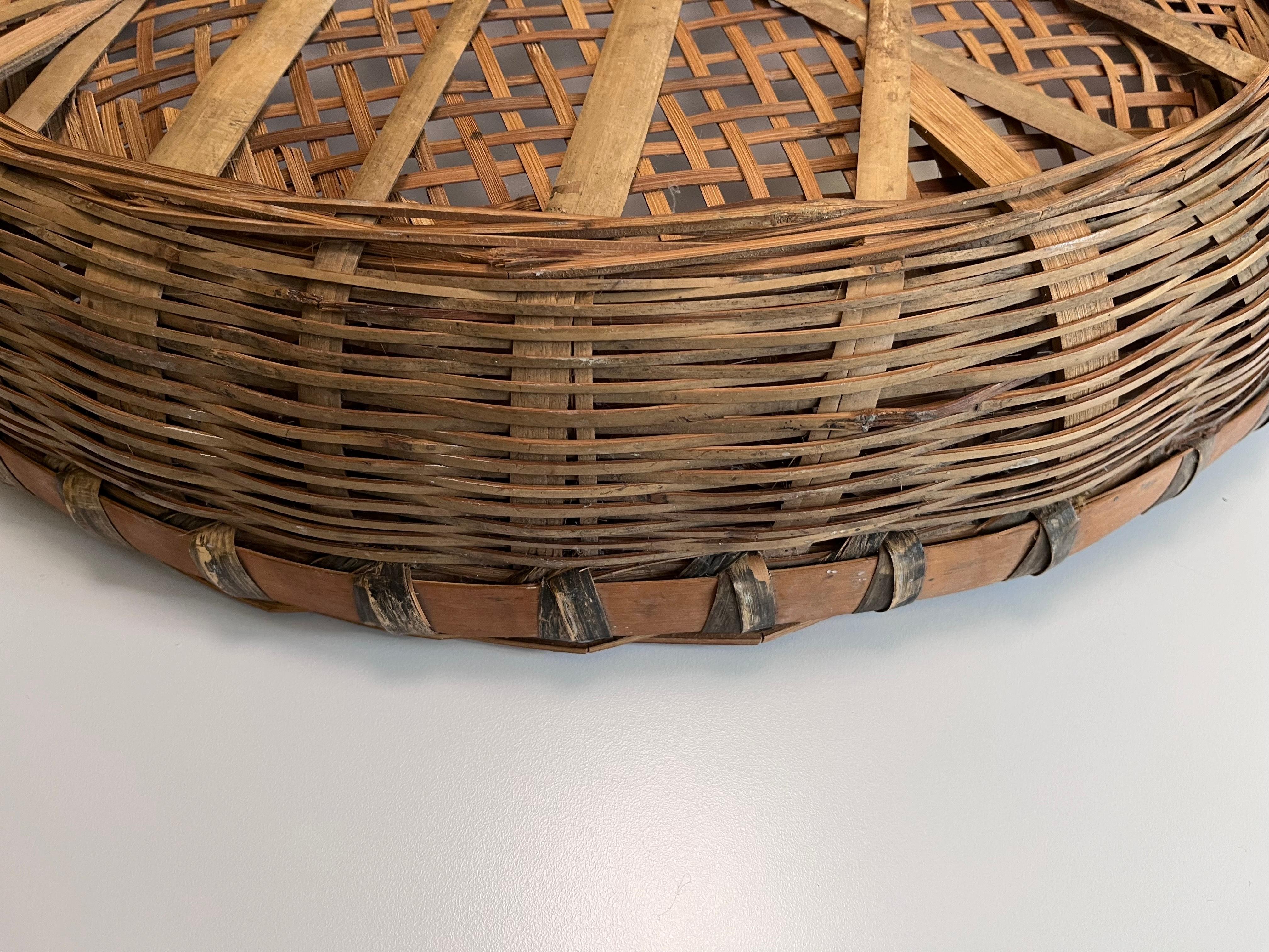 Large Early 20th Century Hand Woven Minnowing Basket Folk Art Wall Sculpture For Sale 5