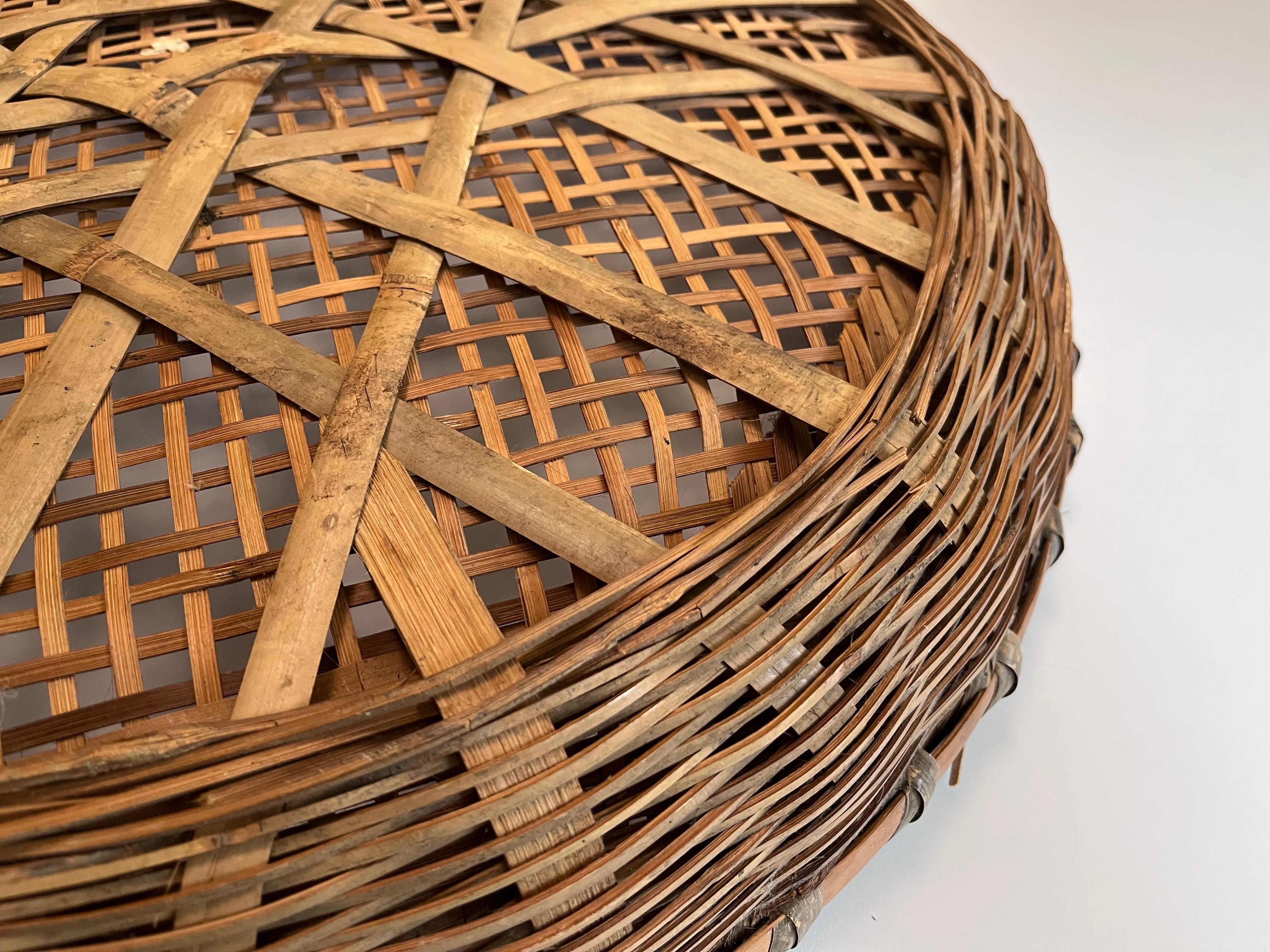 Large Early 20th Century Hand Woven Minnowing Basket Folk Art Wall Sculpture For Sale 6