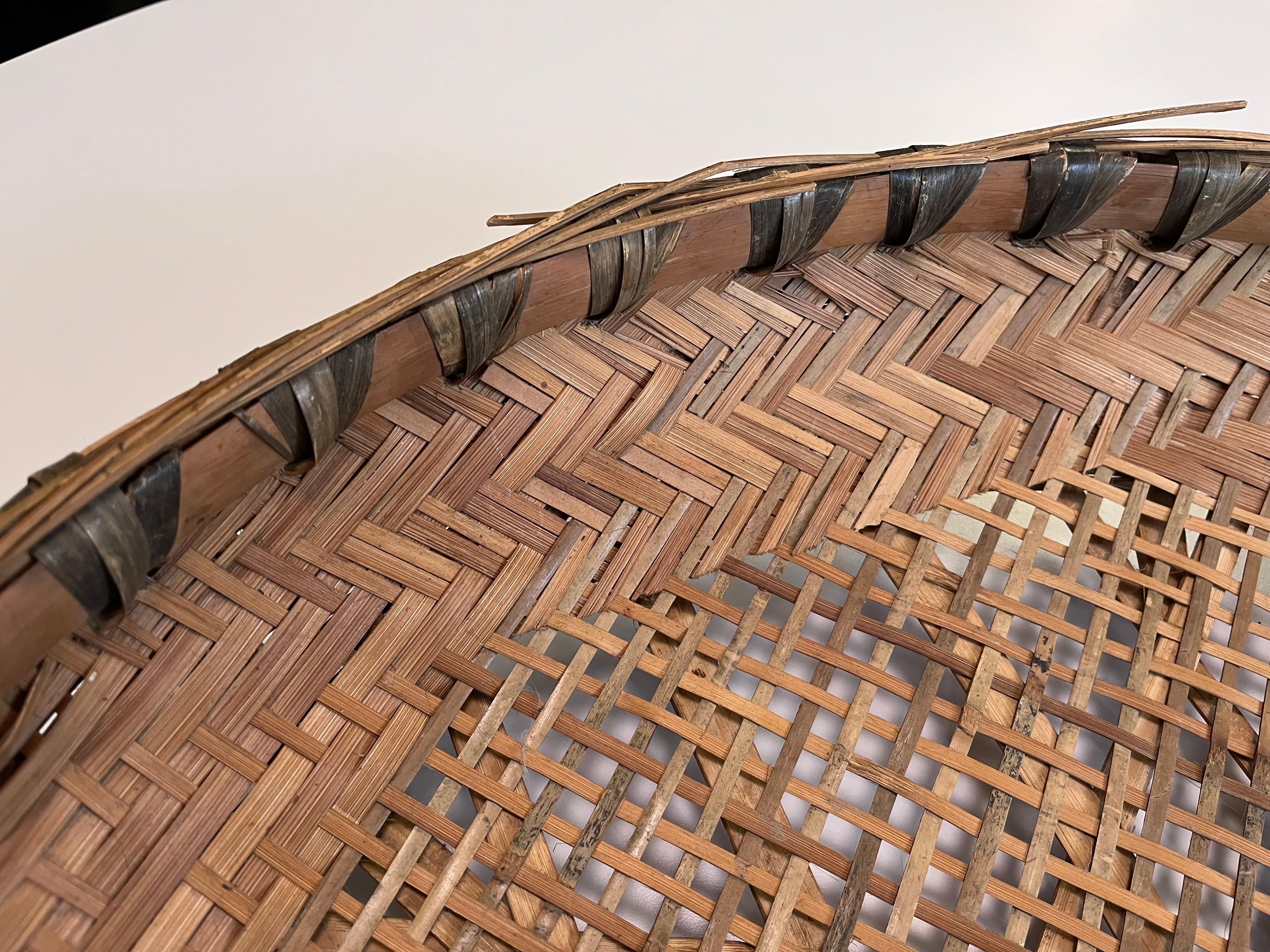 Large Early 20th Century Hand Woven Minnowing Basket Folk Art Wall Sculpture For Sale 8