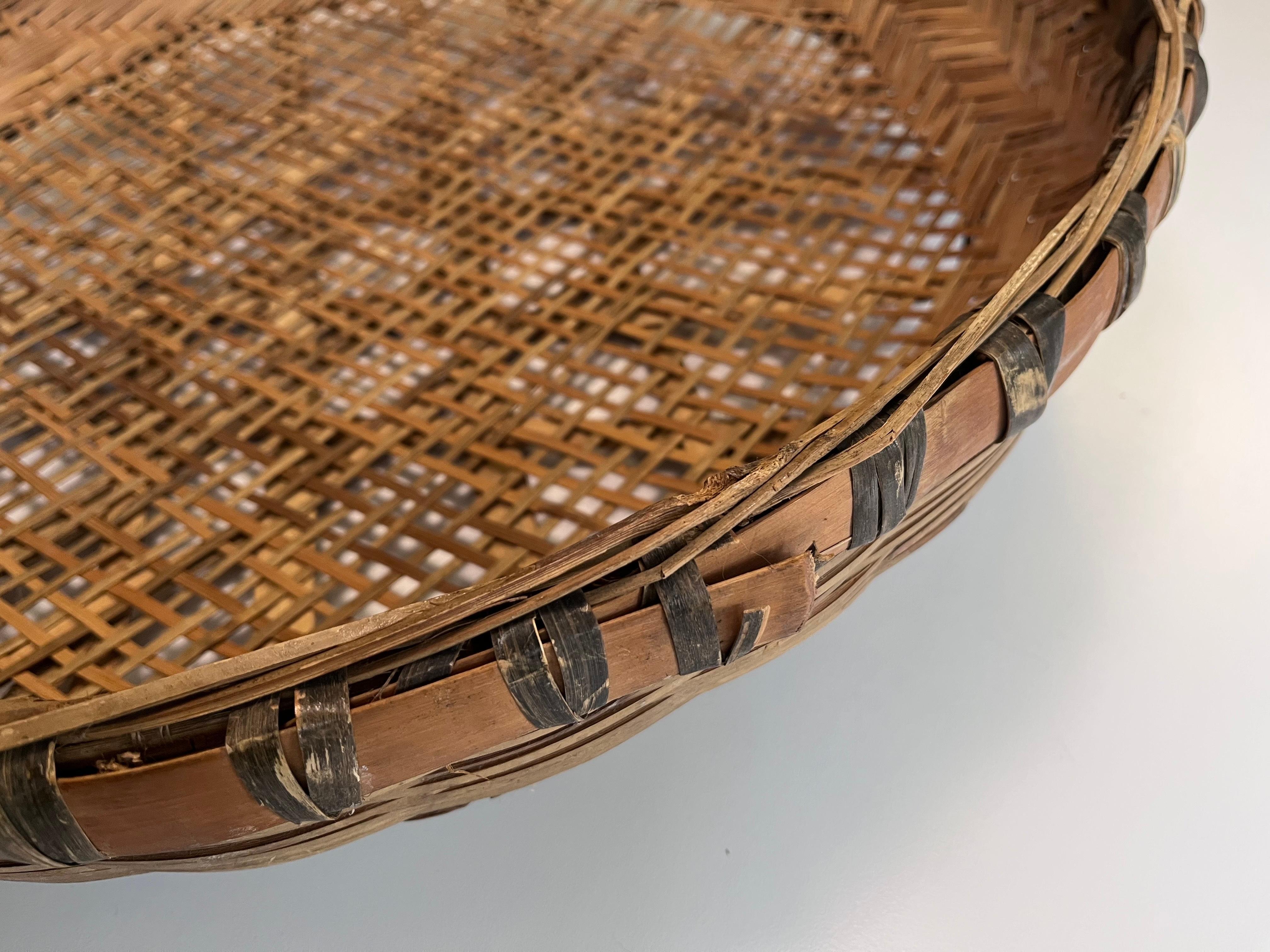 Large Early 20th Century Hand Woven Minnowing Basket Folk Art Wall Sculpture For Sale 9