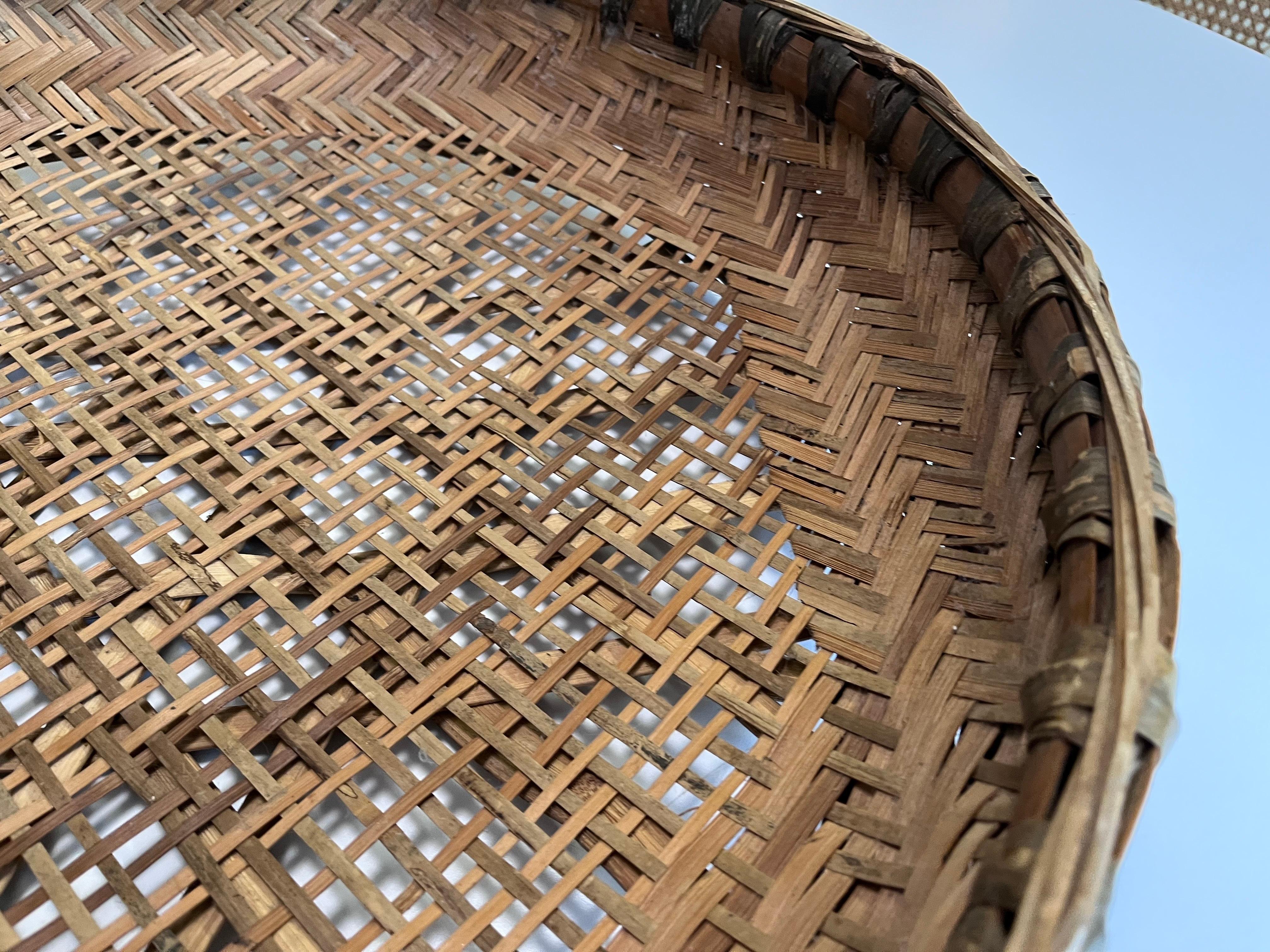 Rattan Large Early 20th Century Hand Woven Minnowing Basket Folk Art Wall Sculpture For Sale