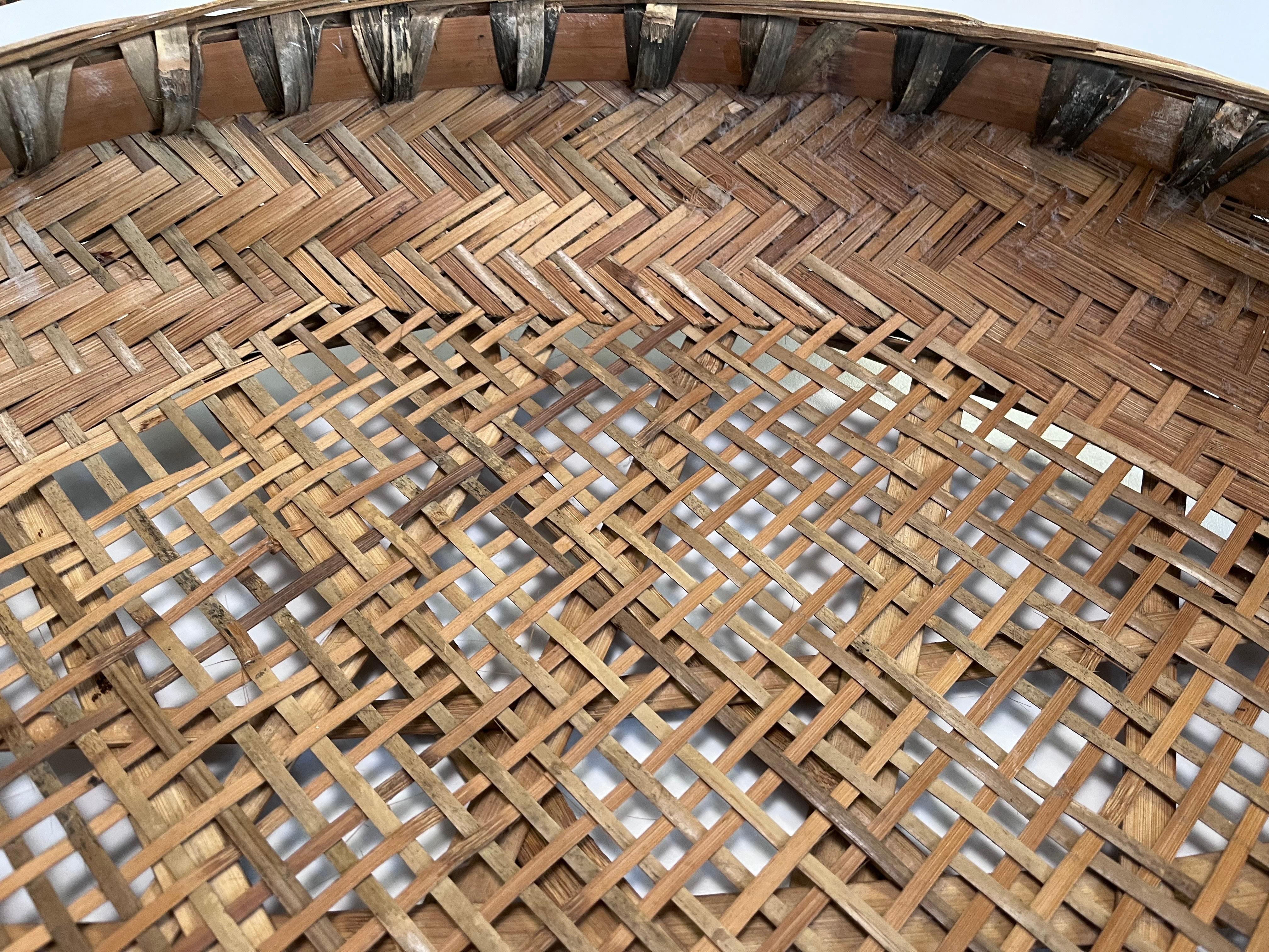 Large Early 20th Century Hand Woven Minnowing Basket Folk Art Wall Sculpture For Sale 2