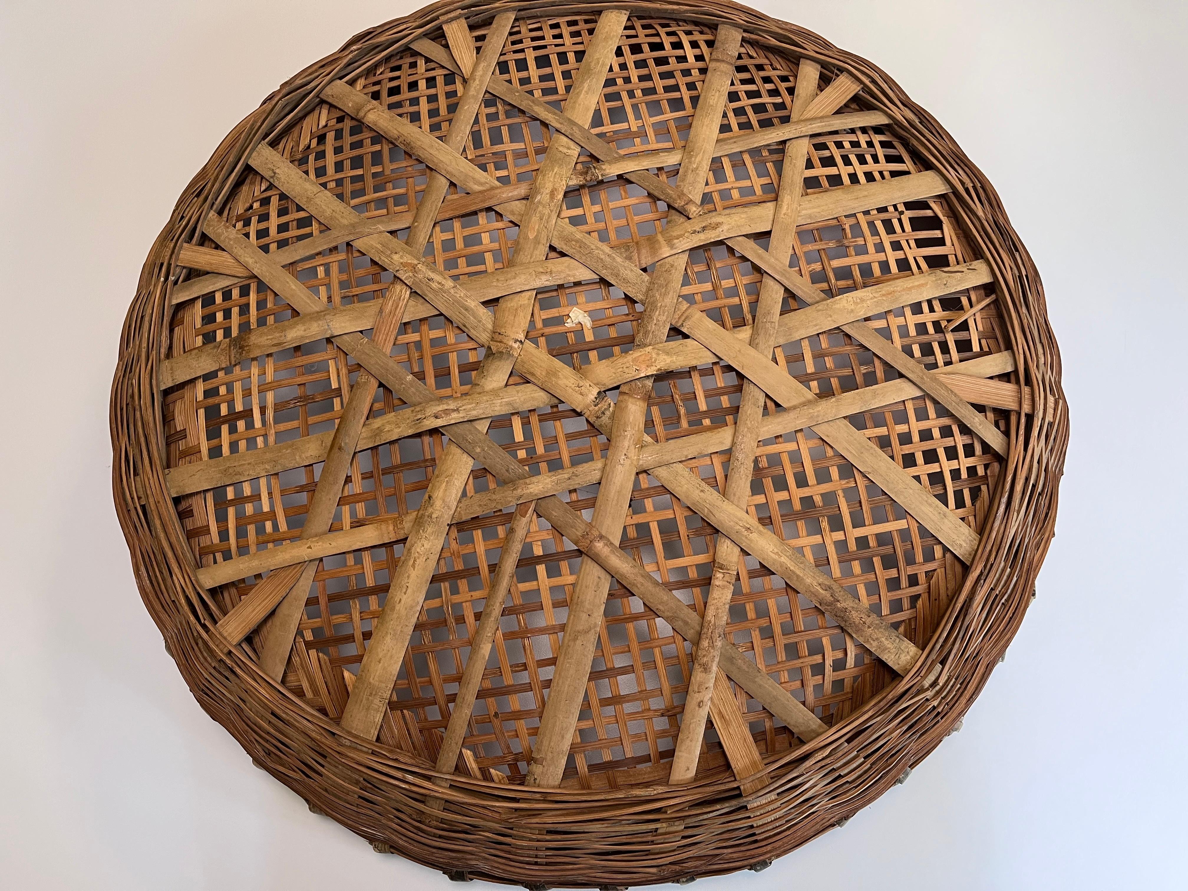Large Early 20th Century Hand Woven Minnowing Basket Folk Art Wall Sculpture For Sale 3