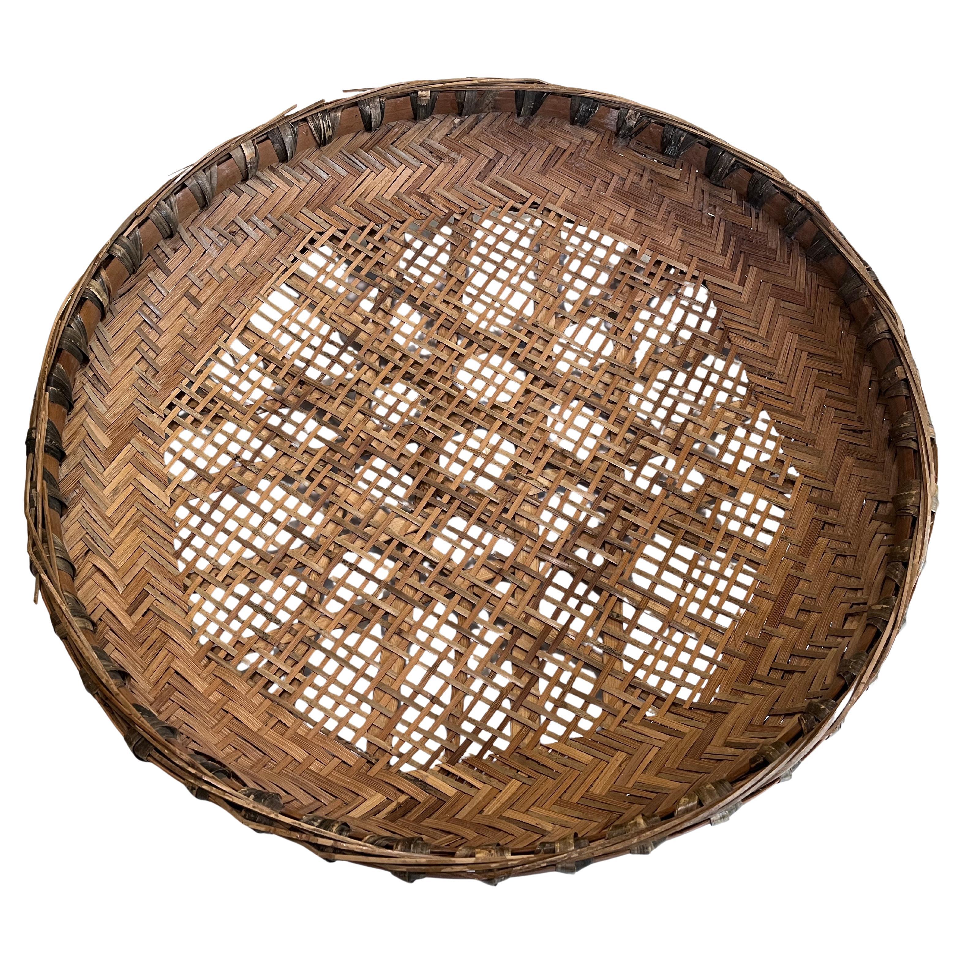 Large Early 20th Century Hand Woven Minnowing Basket Folk Art Wall Sculpture For Sale