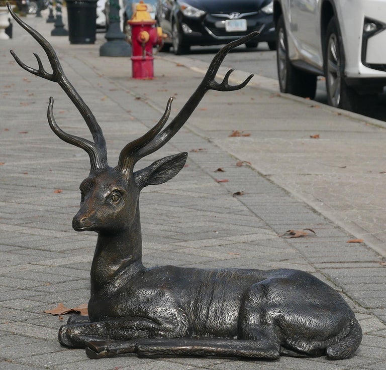 Stunning early 20th century Japanese bronze deer. Perfect for Christmas decorations, large scale and wonderful patina. Base of deer measures roughly 11 inches deep and 24 inches wide.