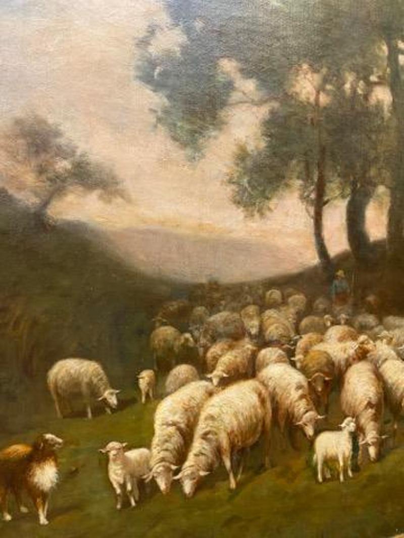 Américain Grande peinture à l'huile sur toile du début du 20e siècle représentant des moutons par Charles T. Phelan en vente