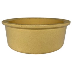 Large Early 20th Century Stoneware Dog Bowl