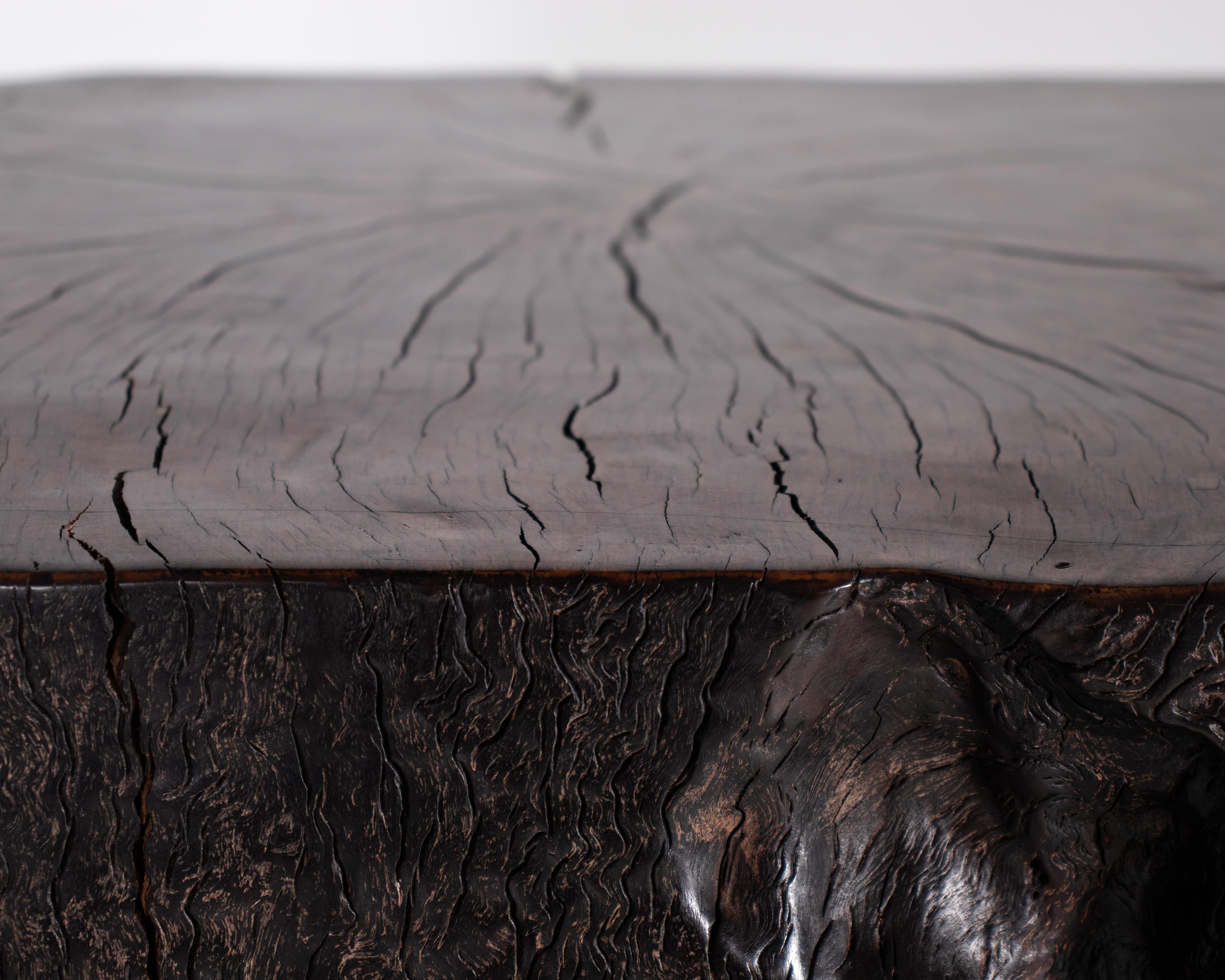 Large Ebonized Lychee Wood Display In Good Condition In Dallas, TX