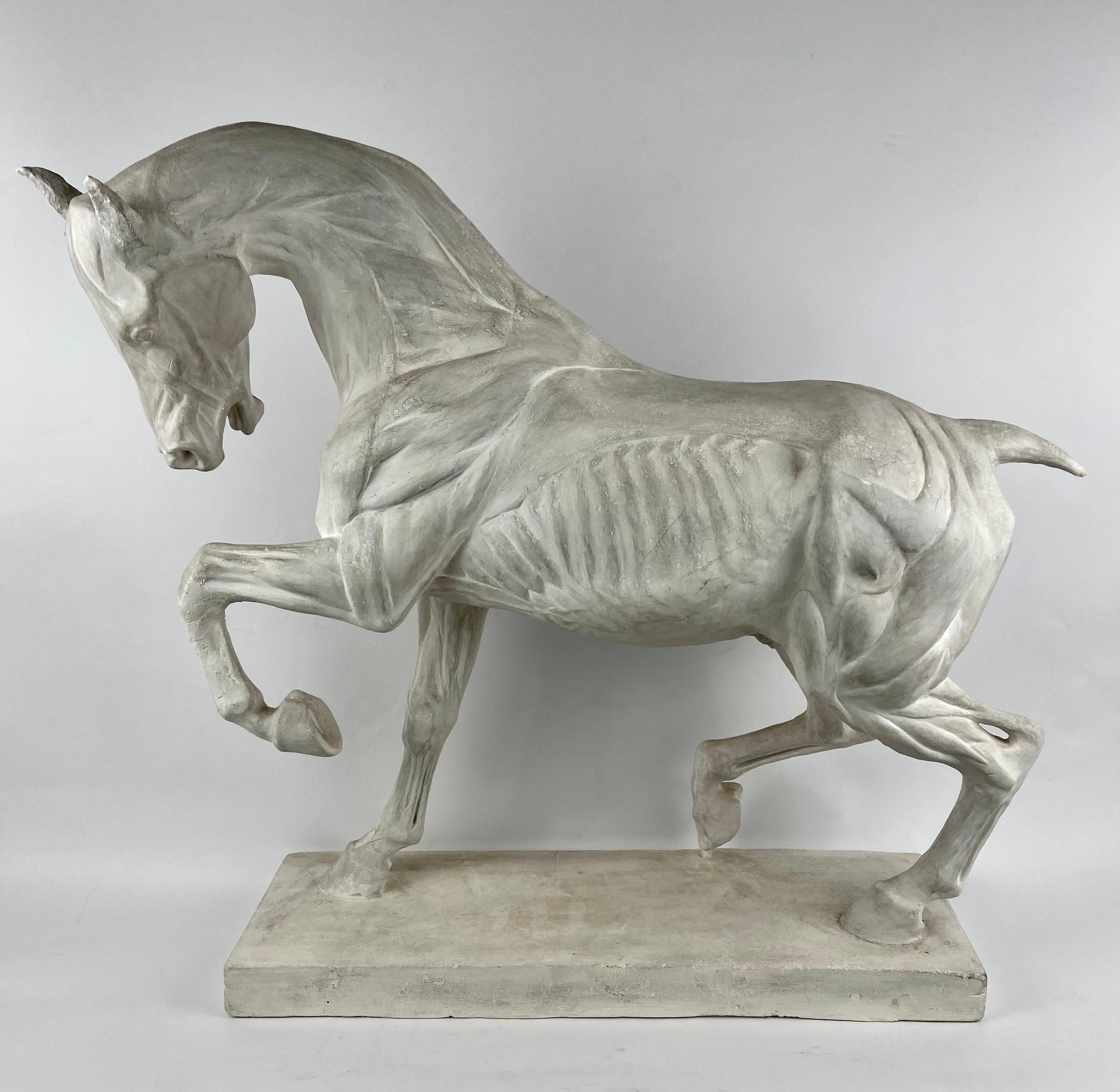 Large ecorché horse, hand-carved stucco, very detailed.
Beautiful patina, probably France, circa 1920.