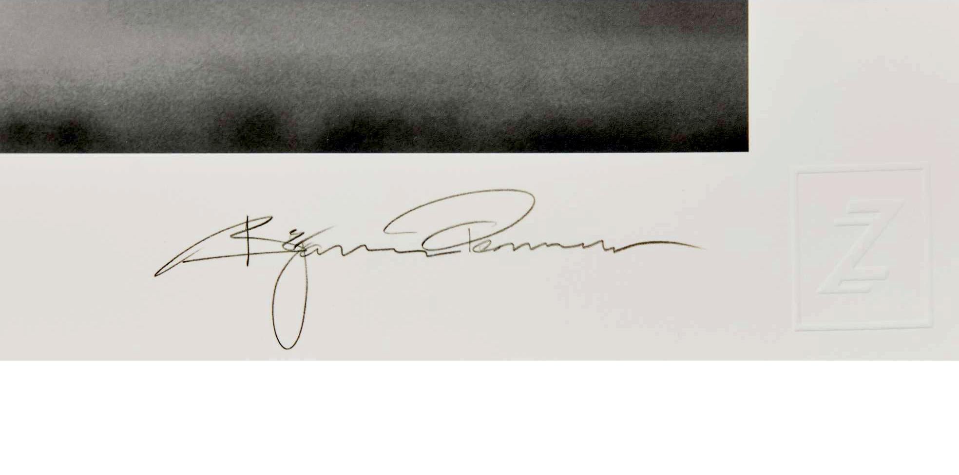 Fotografía en gran formato Trono del guepardo de Bjorn Persson Moderno en venta