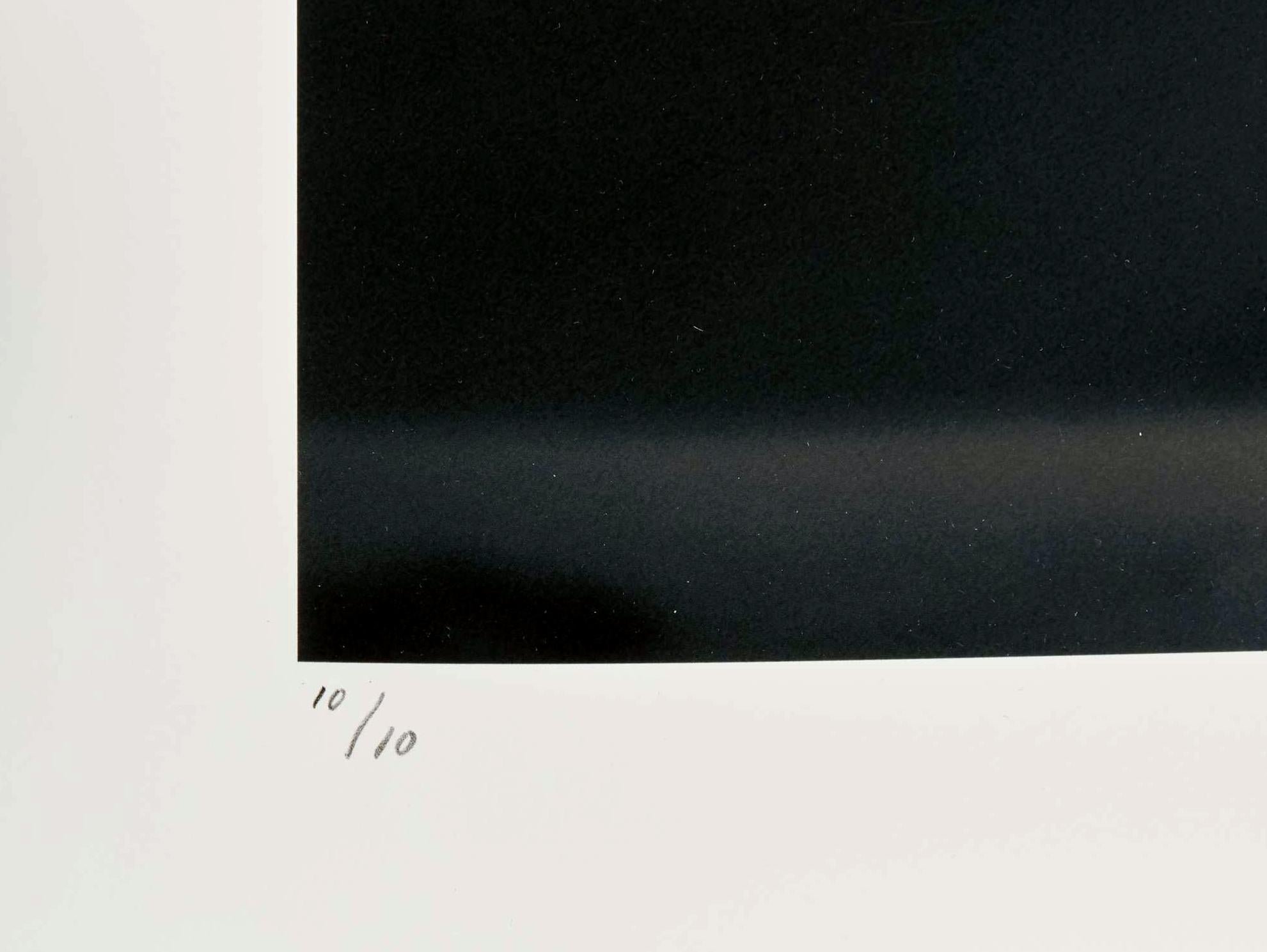 Fotografía en gran formato Trono del guepardo de Bjorn Persson Sueco en venta