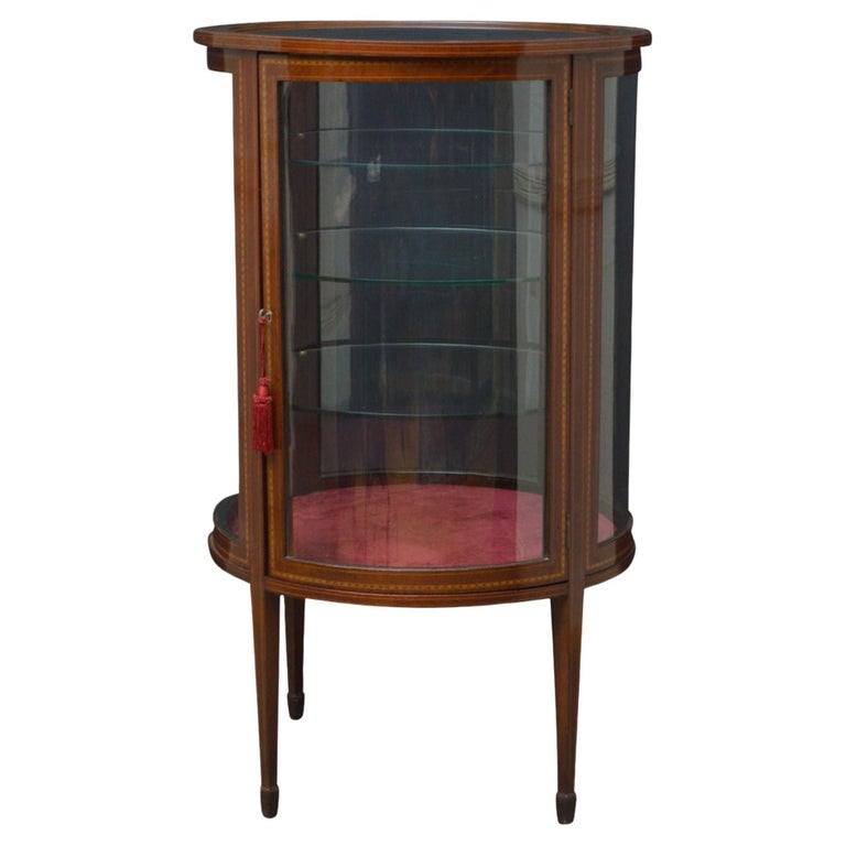Large Edwardian Display For Sale at 1stDibs