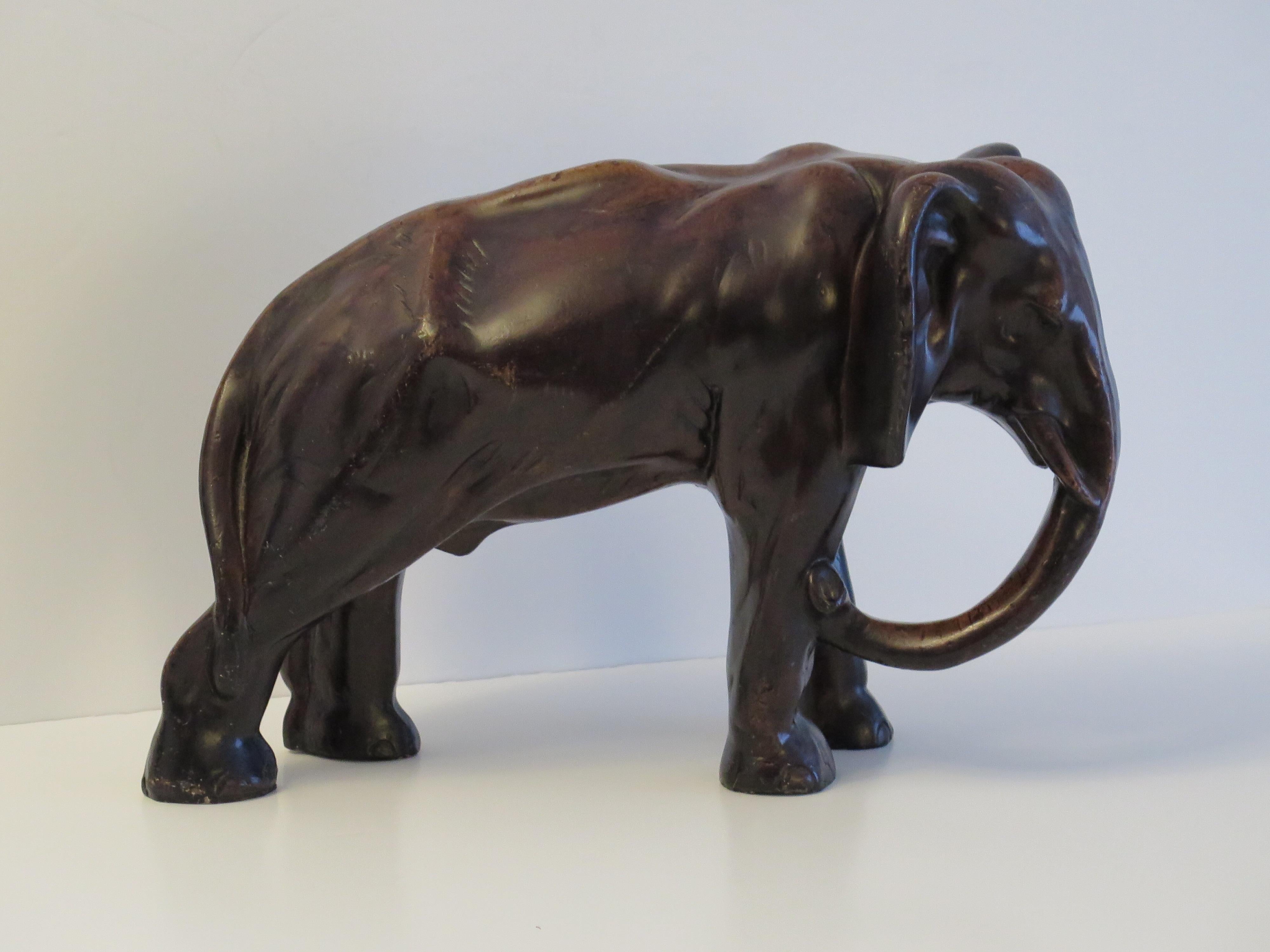 il piede d'elefante