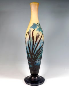 Large Émile Gallé Art Nouveau Cameo Vase, Iris And Lily Pond, France, ca. 1906
