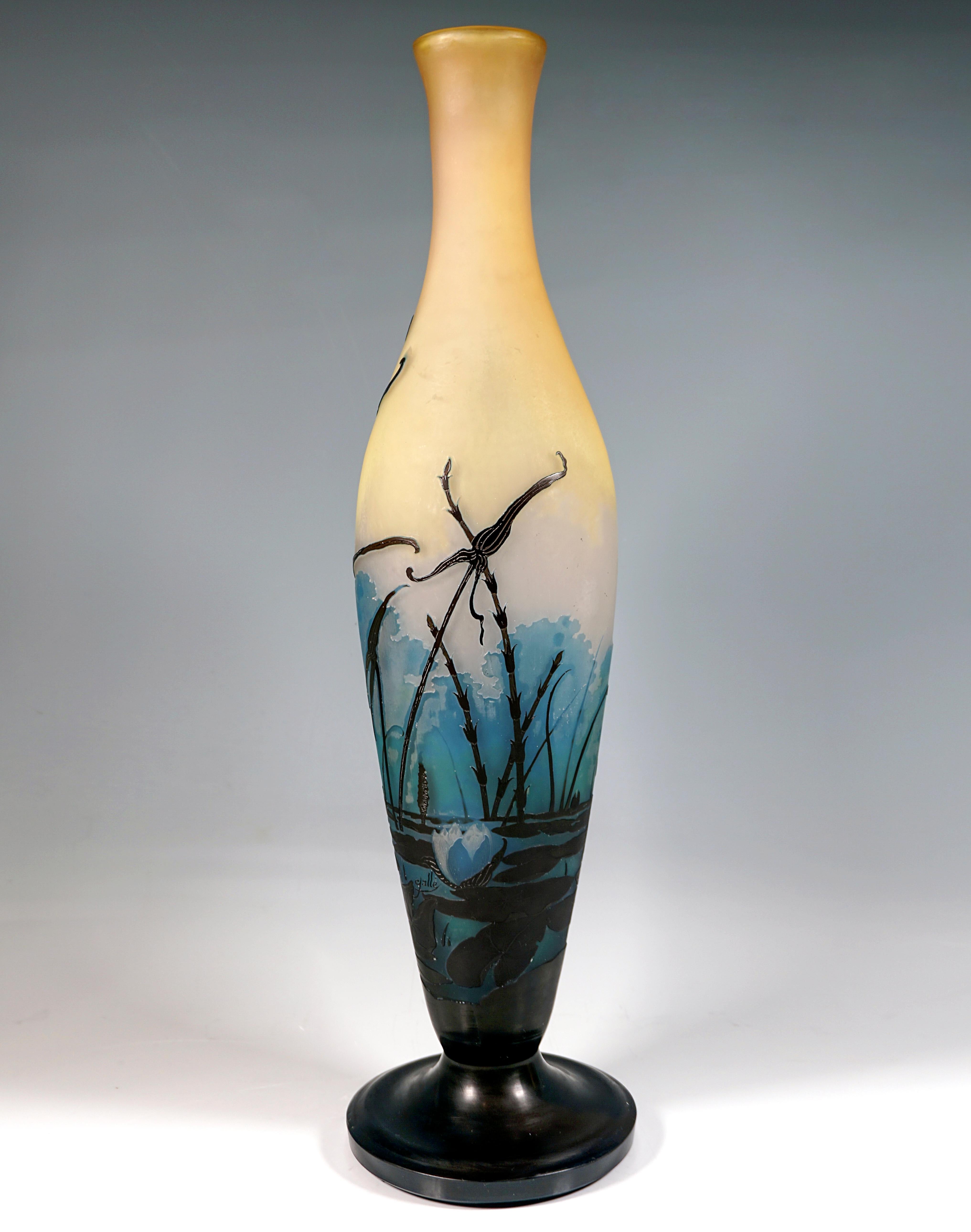 French Large Émile Gallé Art Nouveau Cameo Vase, Iris And Lily Pond, France, ca. 1906 For Sale