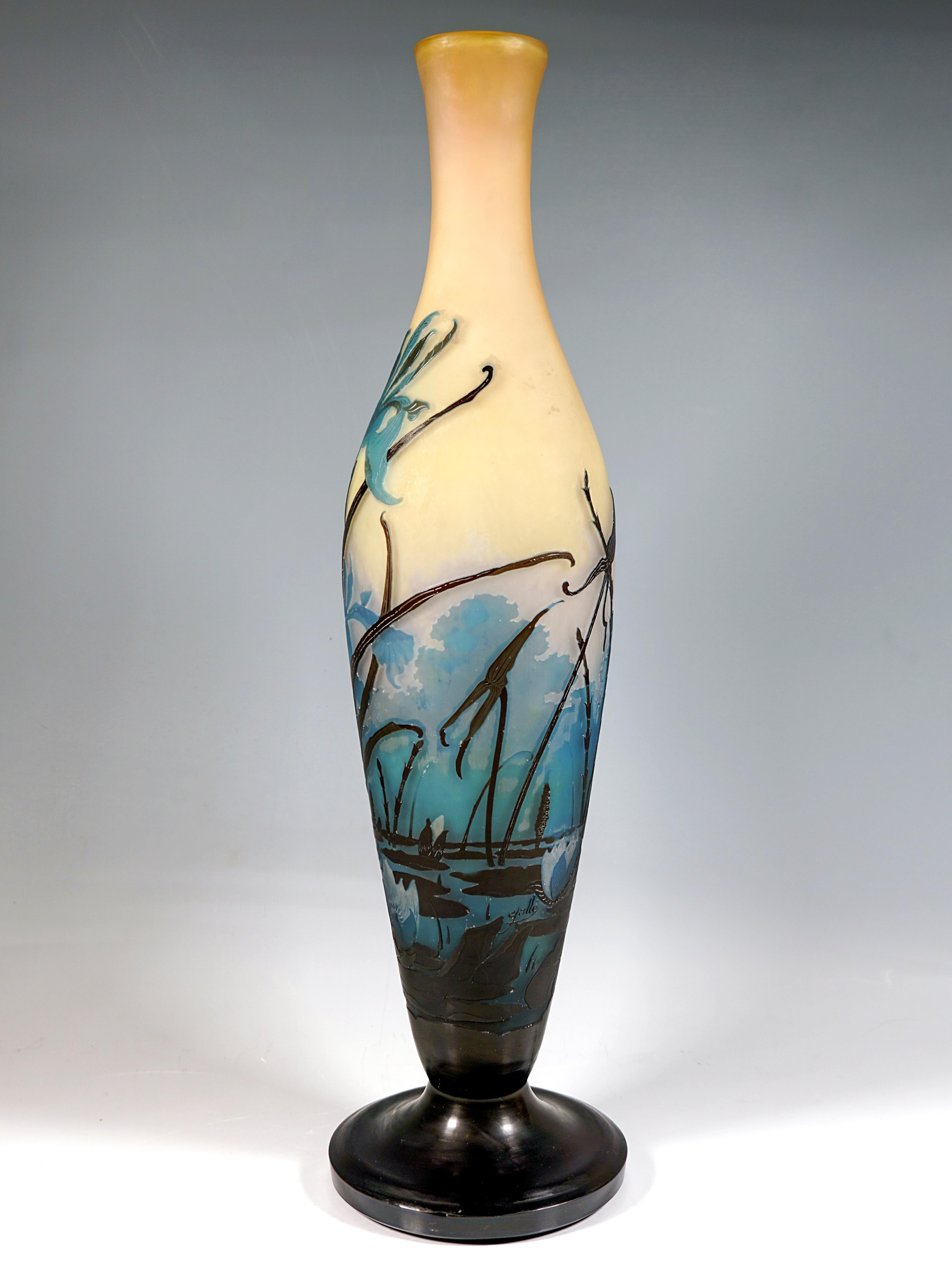 Etched Large Émile Gallé Art Nouveau Cameo Vase, Iris And Lily Pond, France, ca. 1906 For Sale