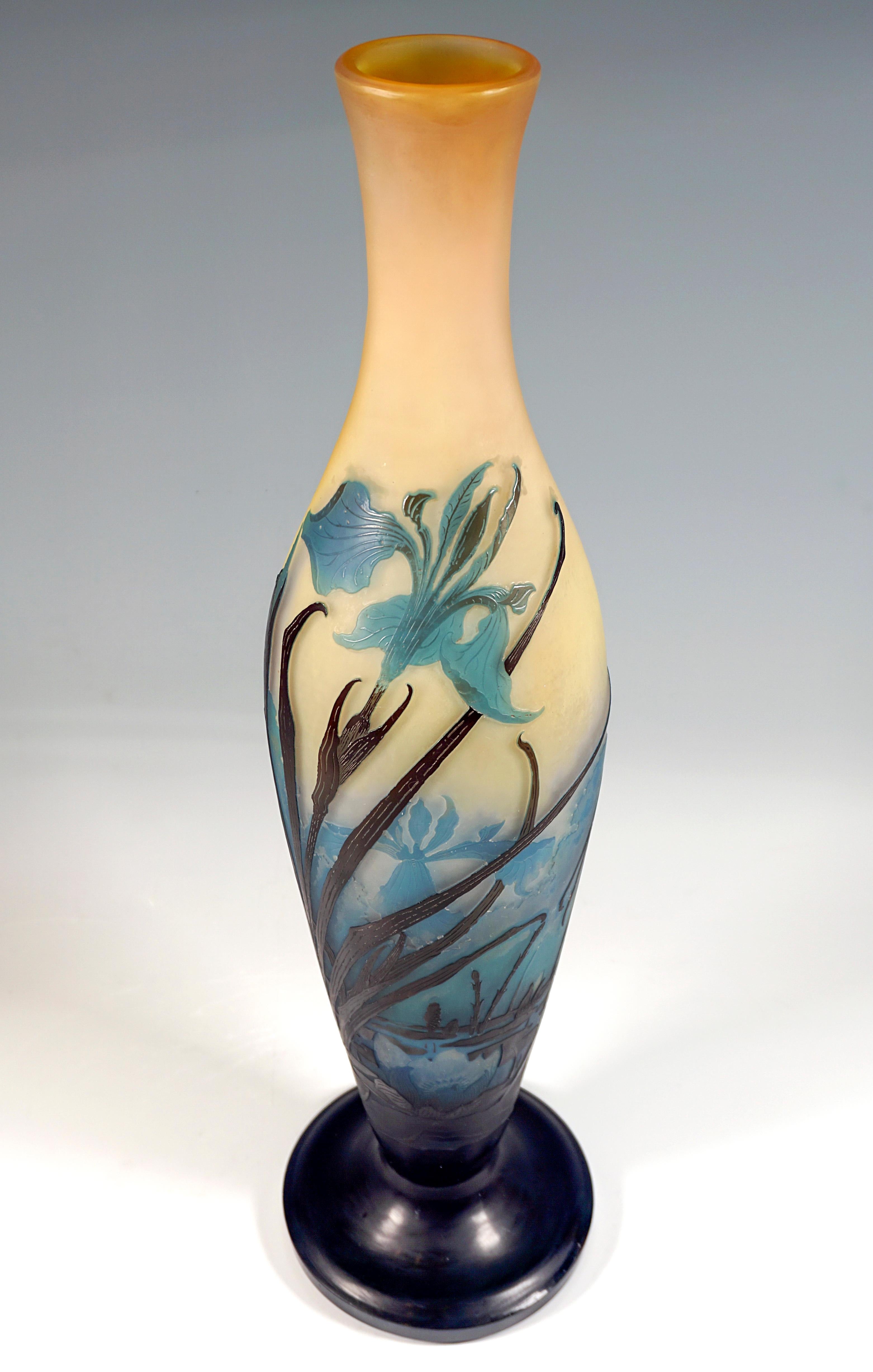 Große Émile Gallé-Jugendstil-Kamee-Vase, Iris und Seerosenteich, Frankreich, ca. 1906 (Radiert) im Angebot