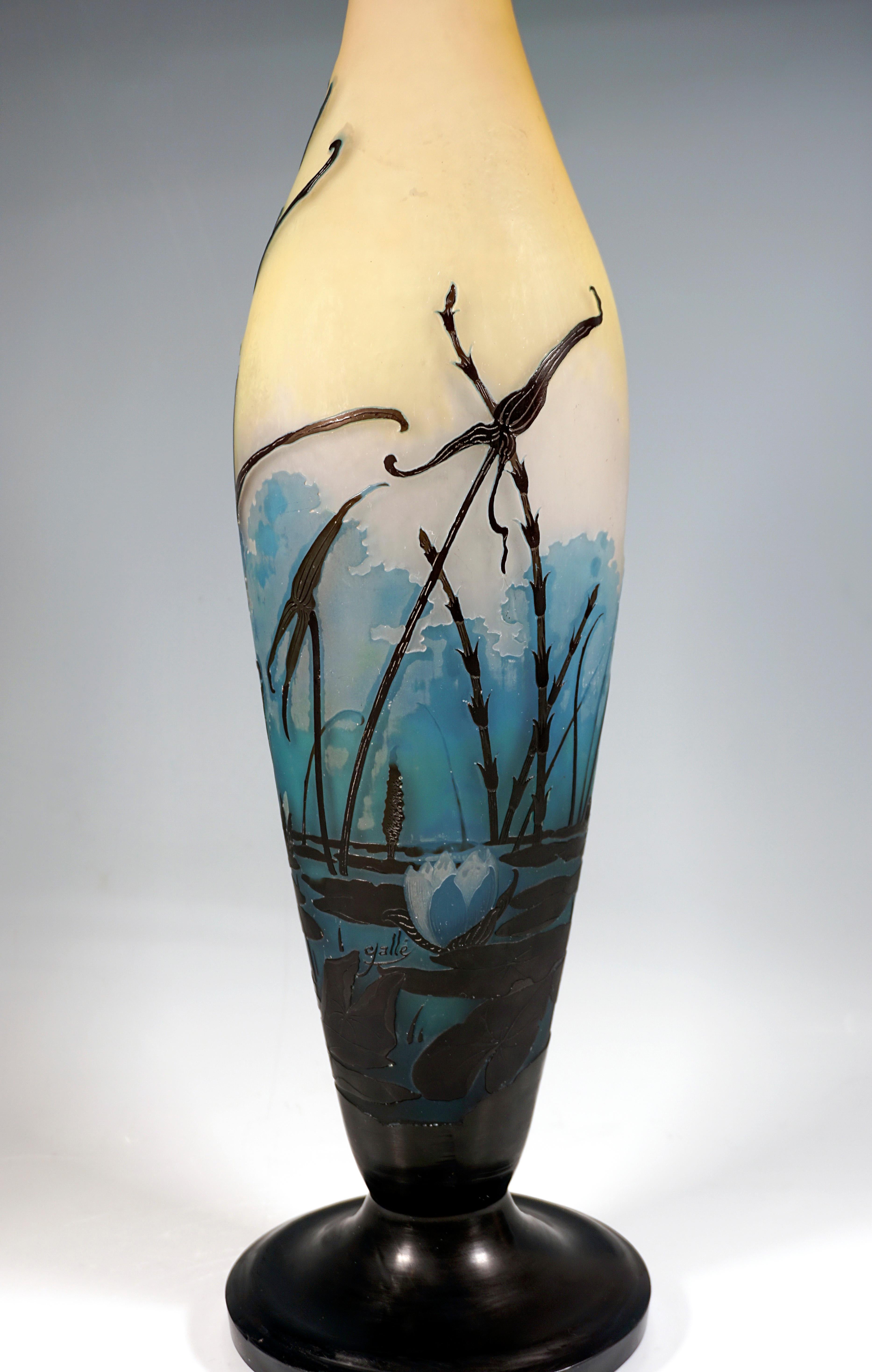 Early 20th Century Large Émile Gallé Art Nouveau Cameo Vase, Iris And Lily Pond, France, ca. 1906 For Sale