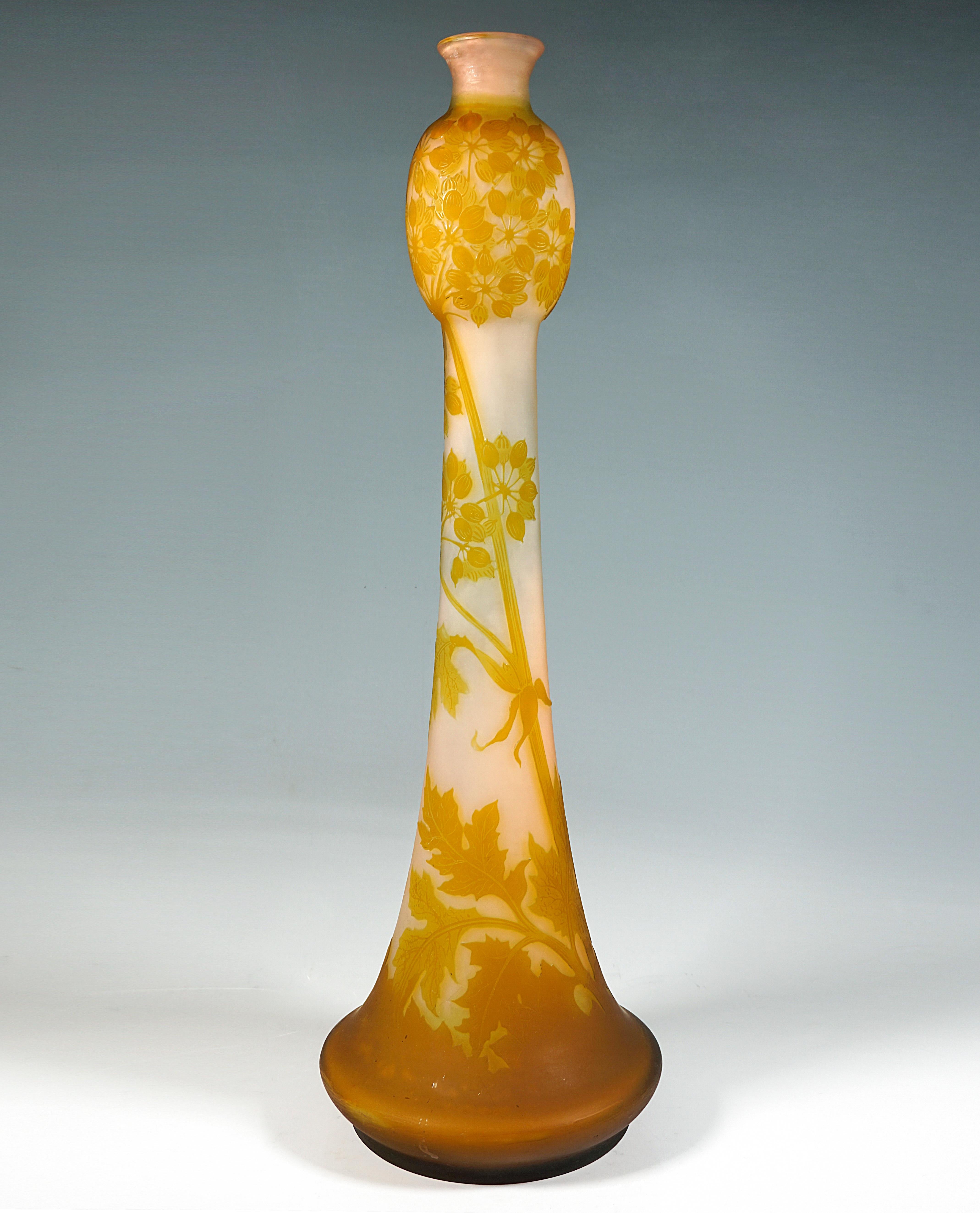 Large Émile Gallé Art Nouveau Cameo Vase, Umbellifers Decor, France, circa 1904 In Good Condition For Sale In Vienna, AT