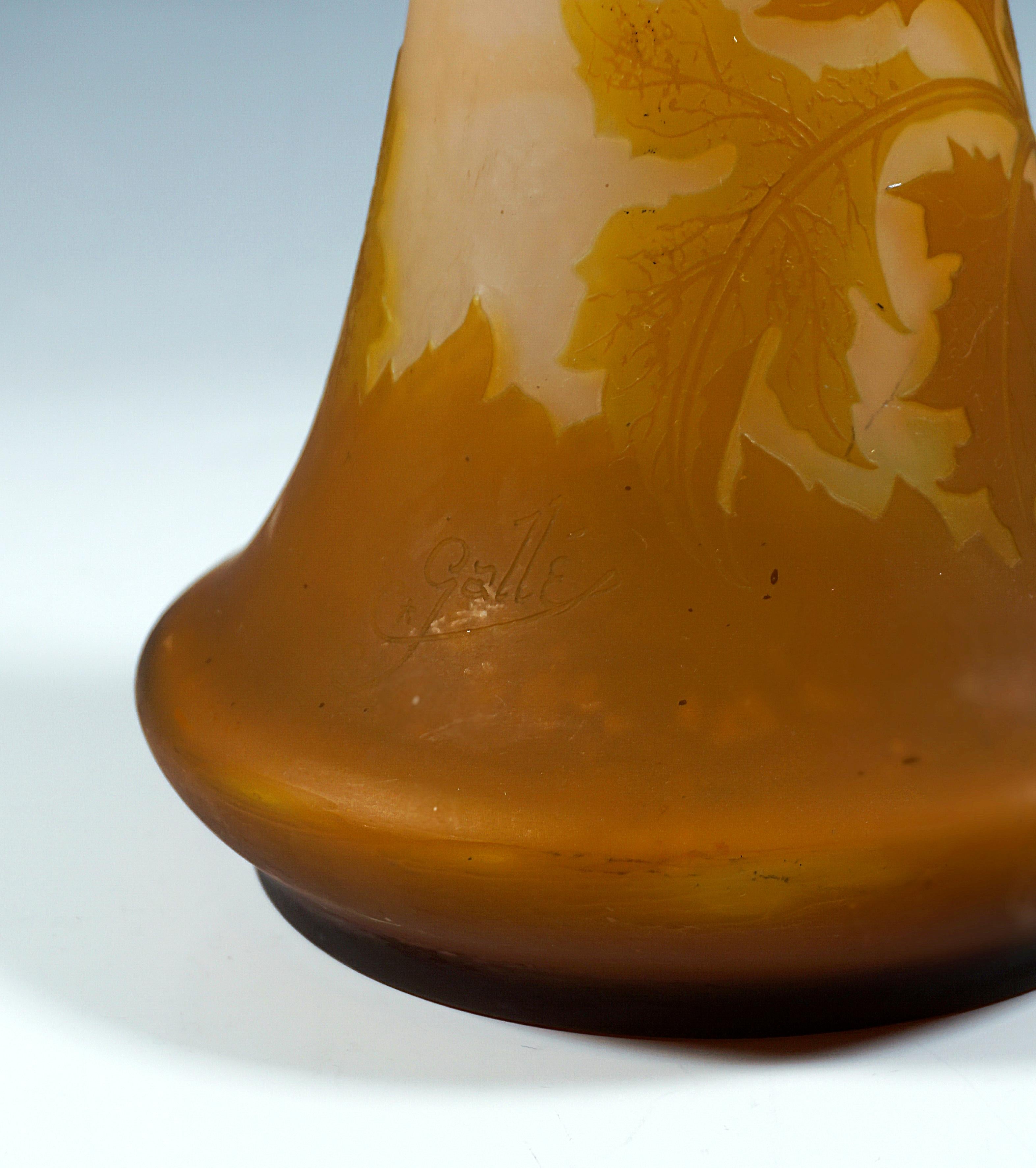 Large Émile Gallé Art Nouveau Cameo Vase, Umbellifers Decor, France, circa 1904 For Sale 1