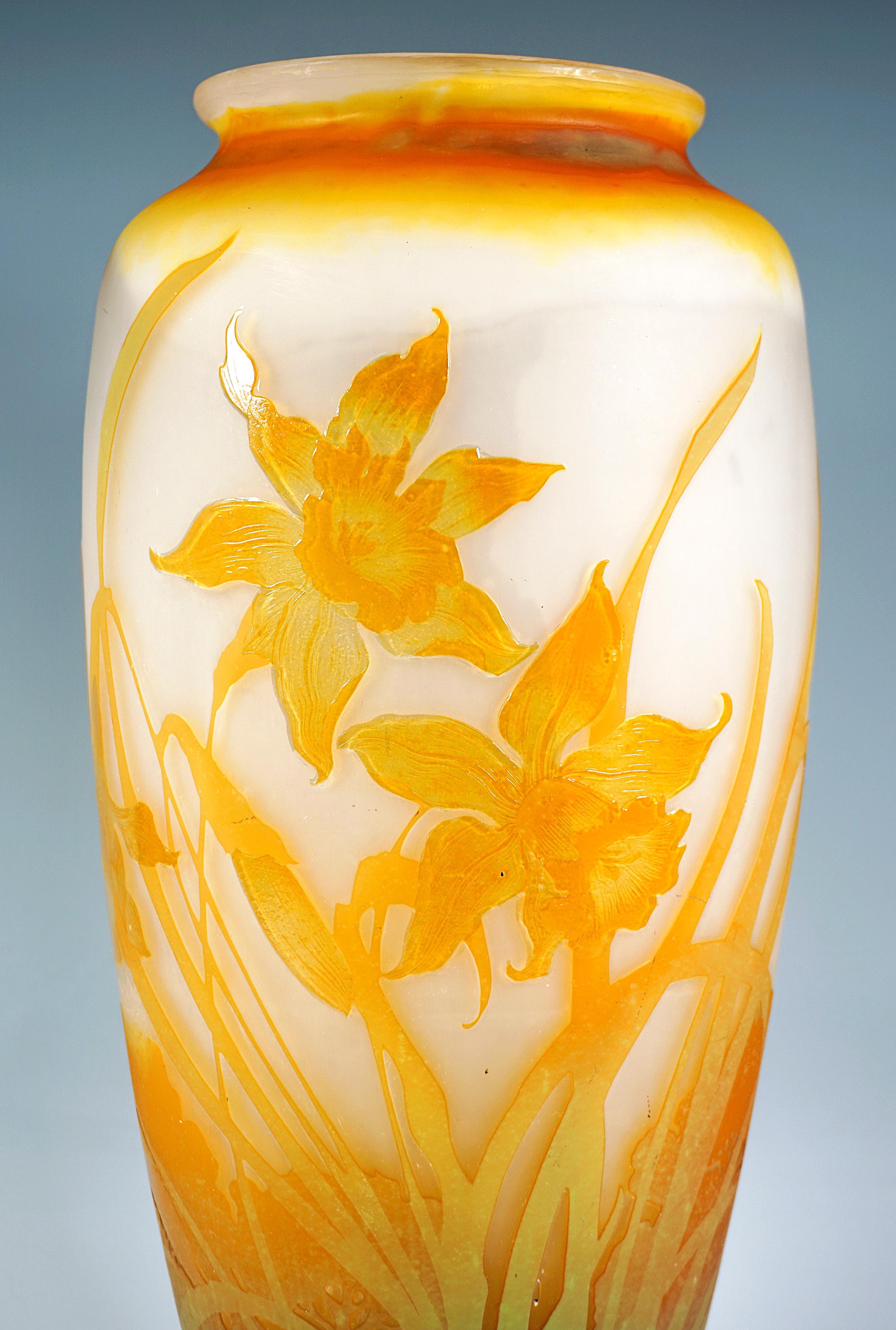 Glass Large Émile Gallé Art Nouveau Cameo Vase With Daffodil Decor, France, Ca 1904 For Sale