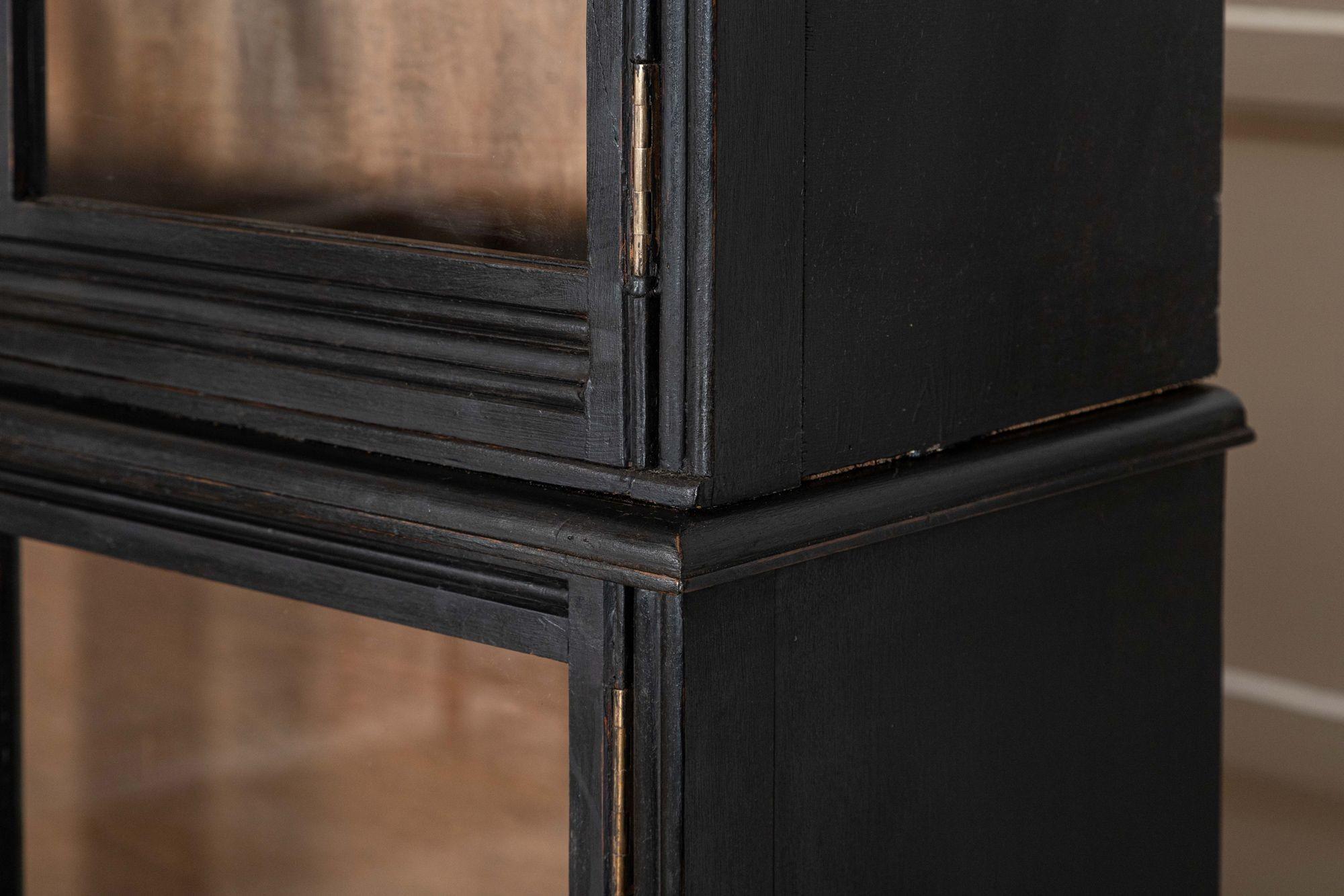 Large English 19thC Ebonised Mahogany Glazed Cabinet For Sale 5