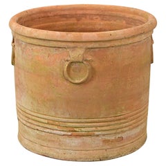 Grande jardinière anglaise du 20ème siècle en terre cuite