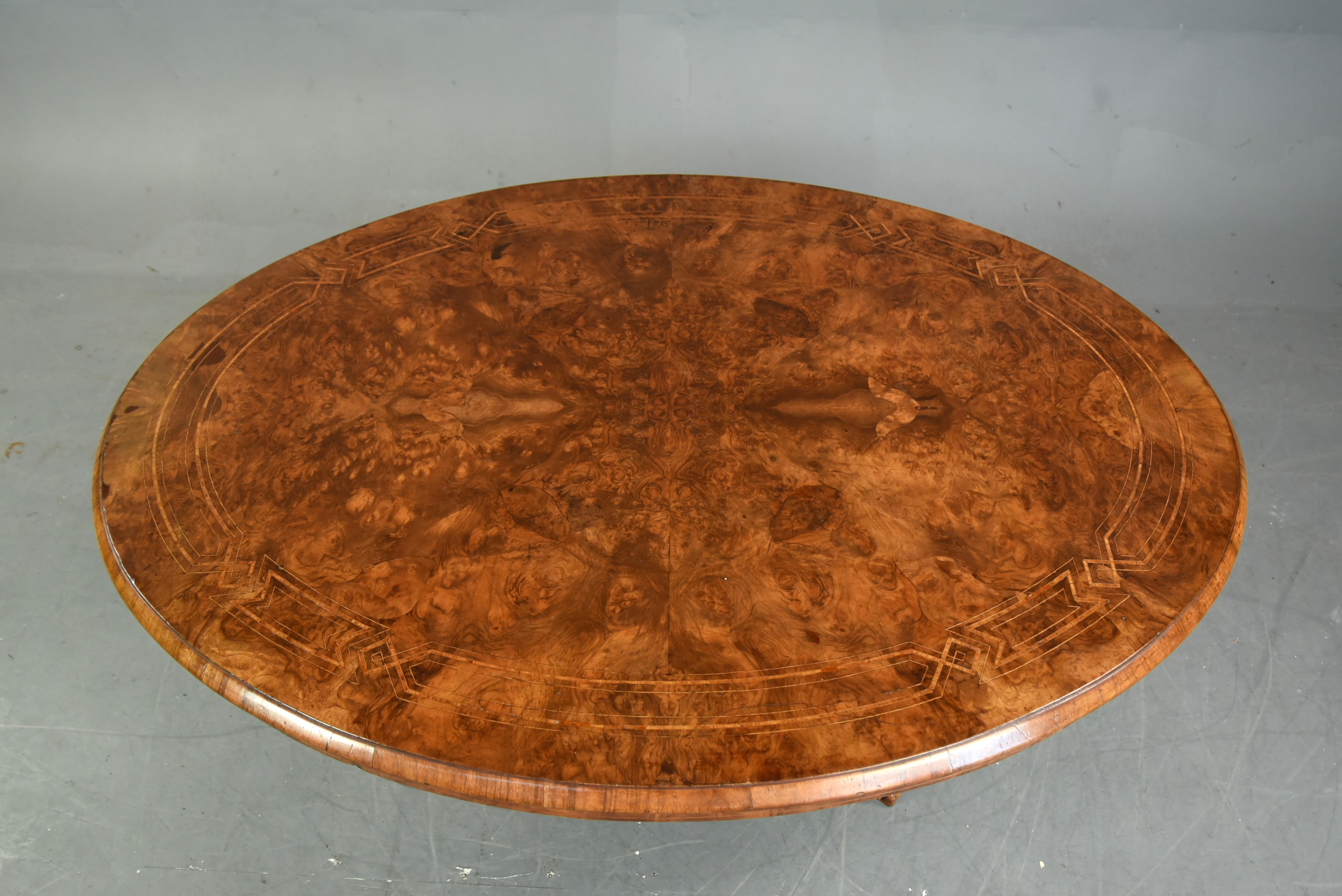 Victorian Large English Antique Burr Walnut Coffee Table 