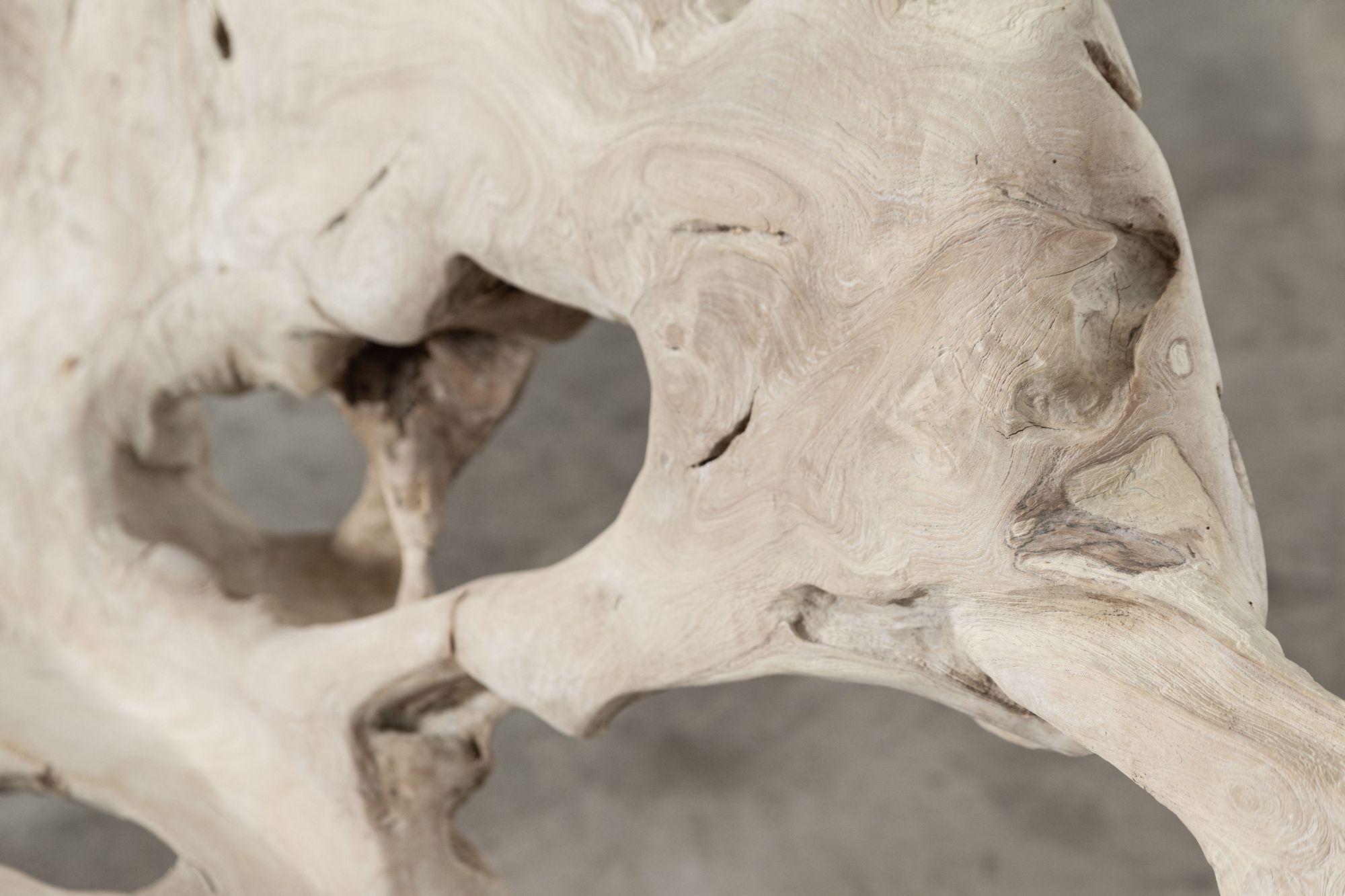 Large English Bleached Teak Root Bench 6