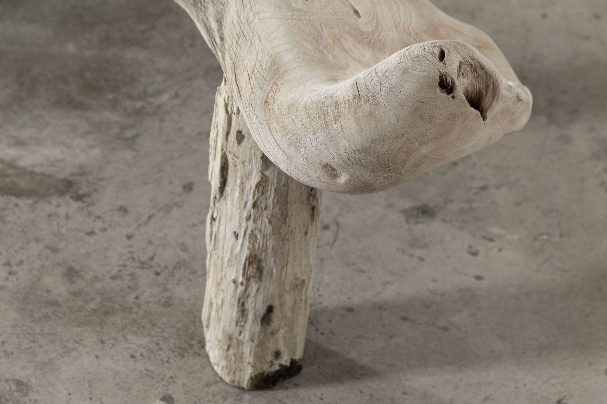 Large English Bleached Teak Root Bench 7
