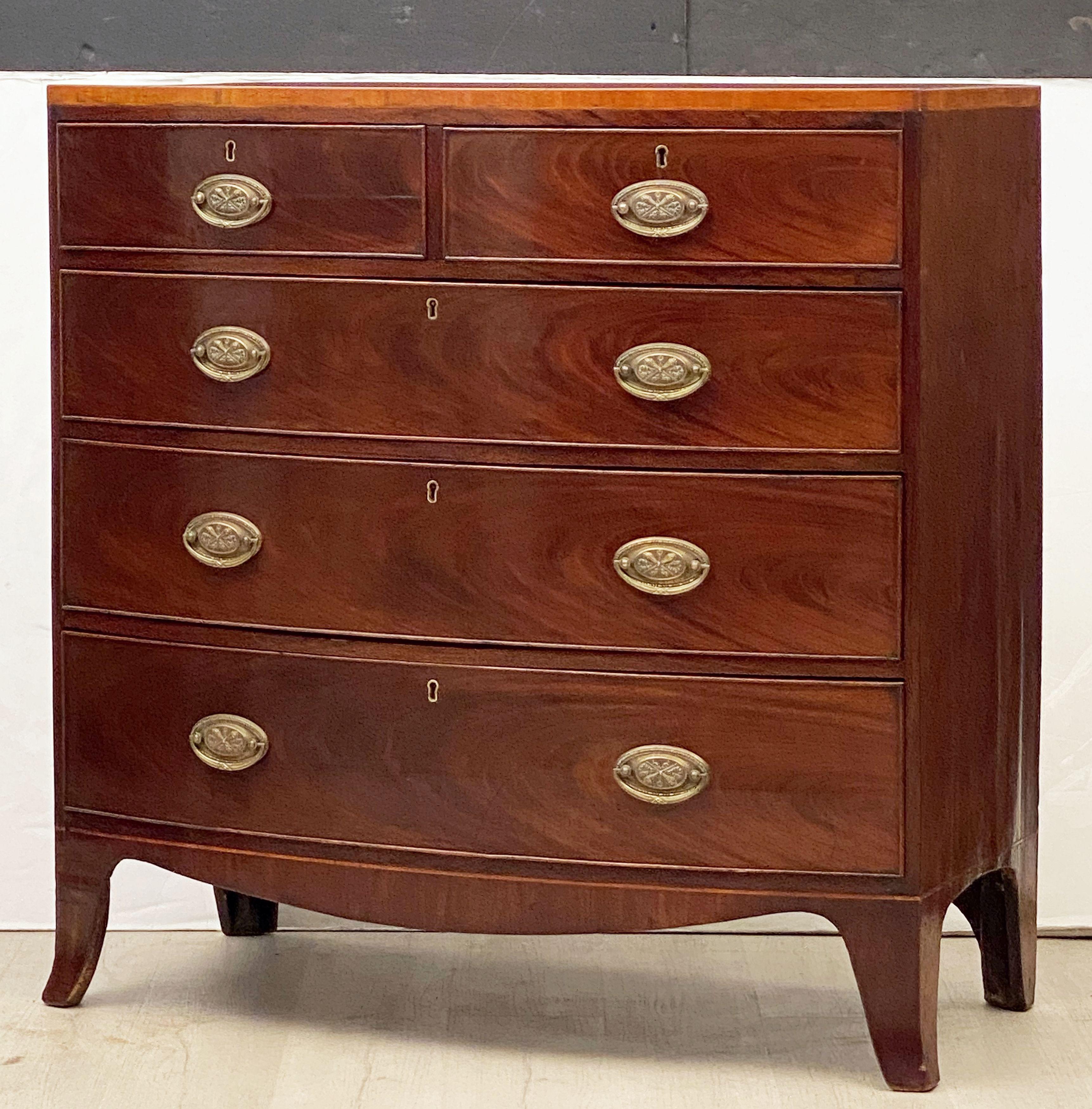 Large English Bow Front Chest of Drawers of Mahogany 5