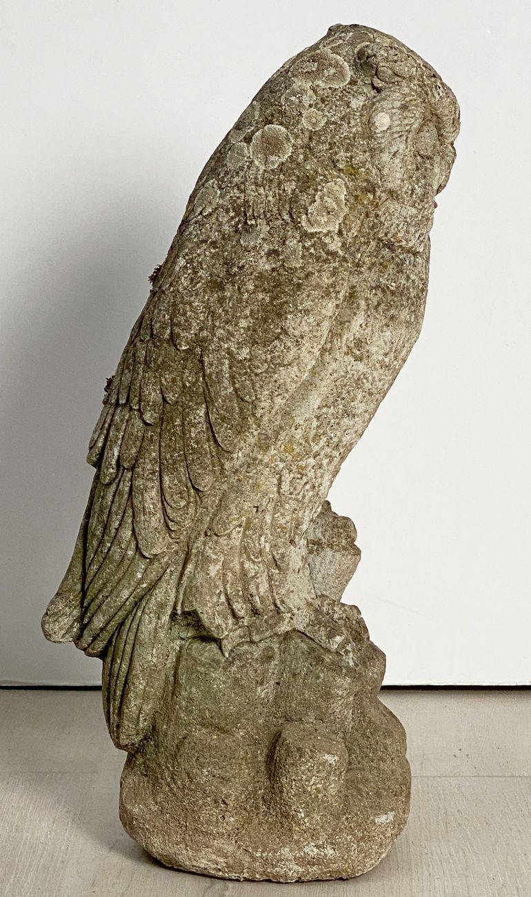 Large English Garden Stone Owl 5