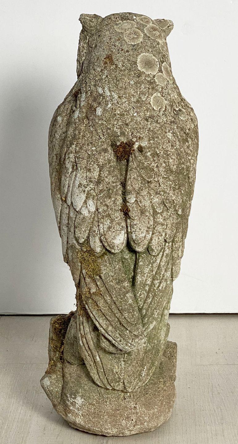 Large English Garden Stone Owl 7