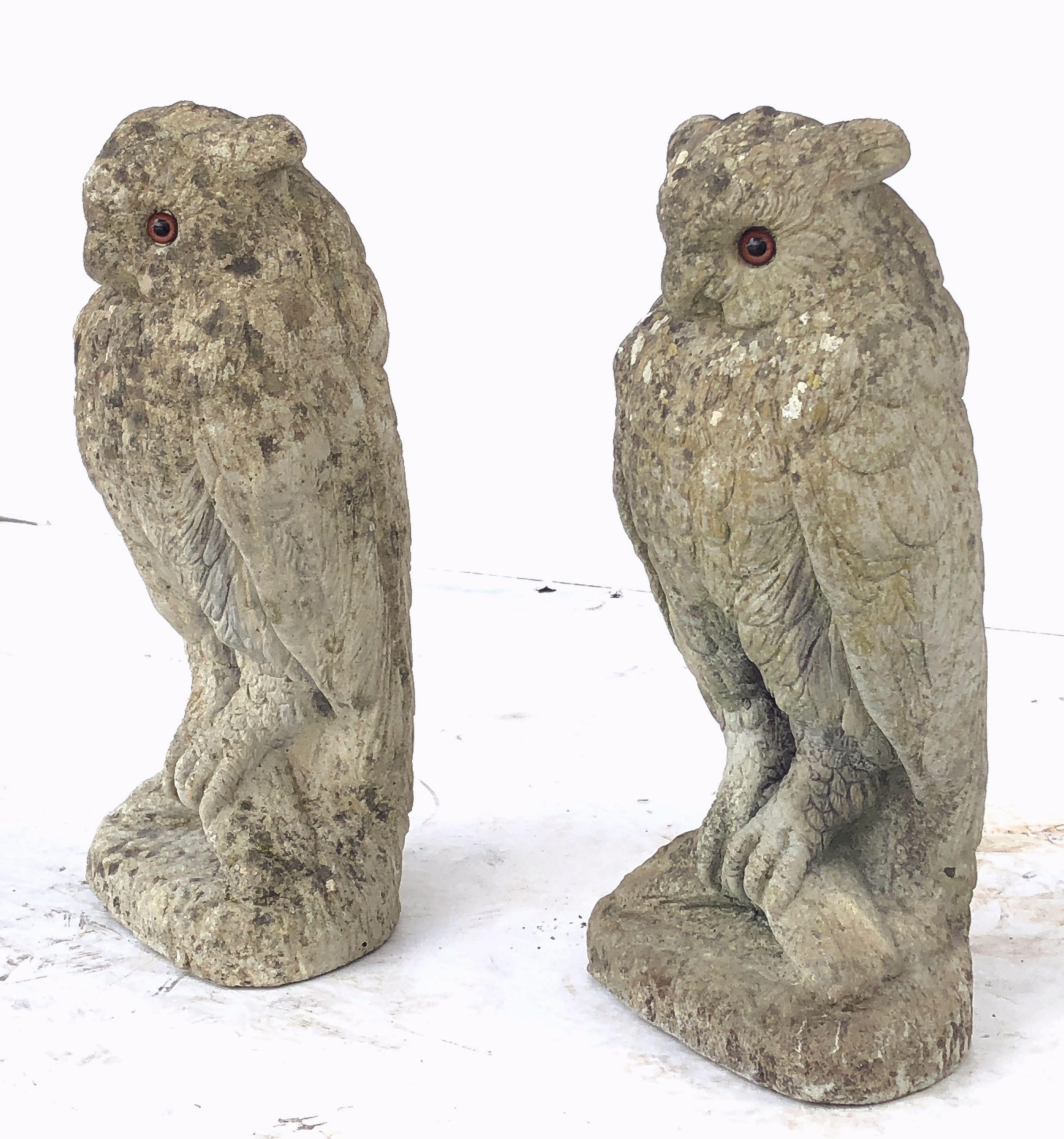 Large English Garden Stone Owl Statues with Glass Eyes 'Individually Priced' 3