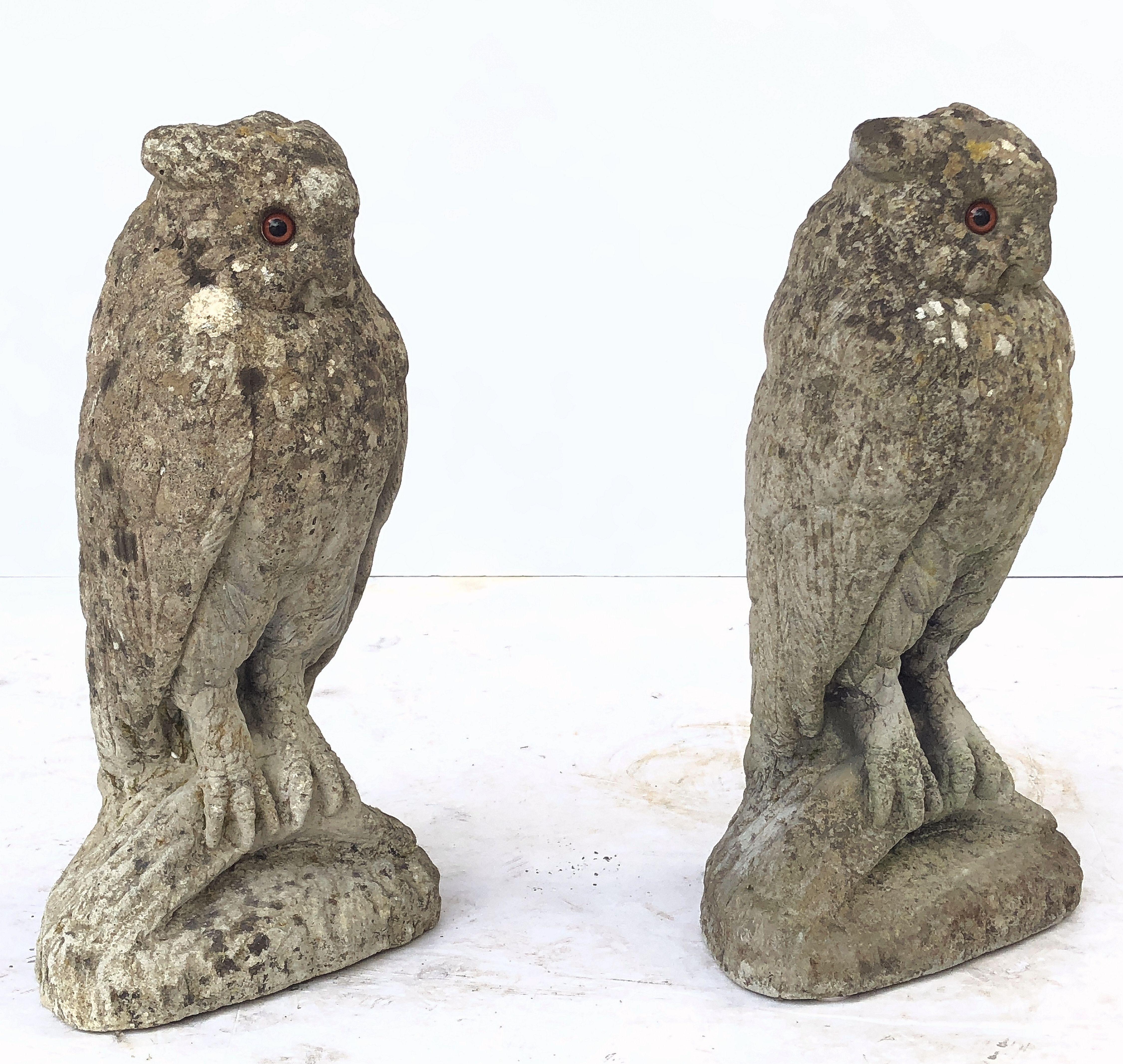 Large English Garden Stone Owl Statues with Glass Eyes 'Individually Priced' 4