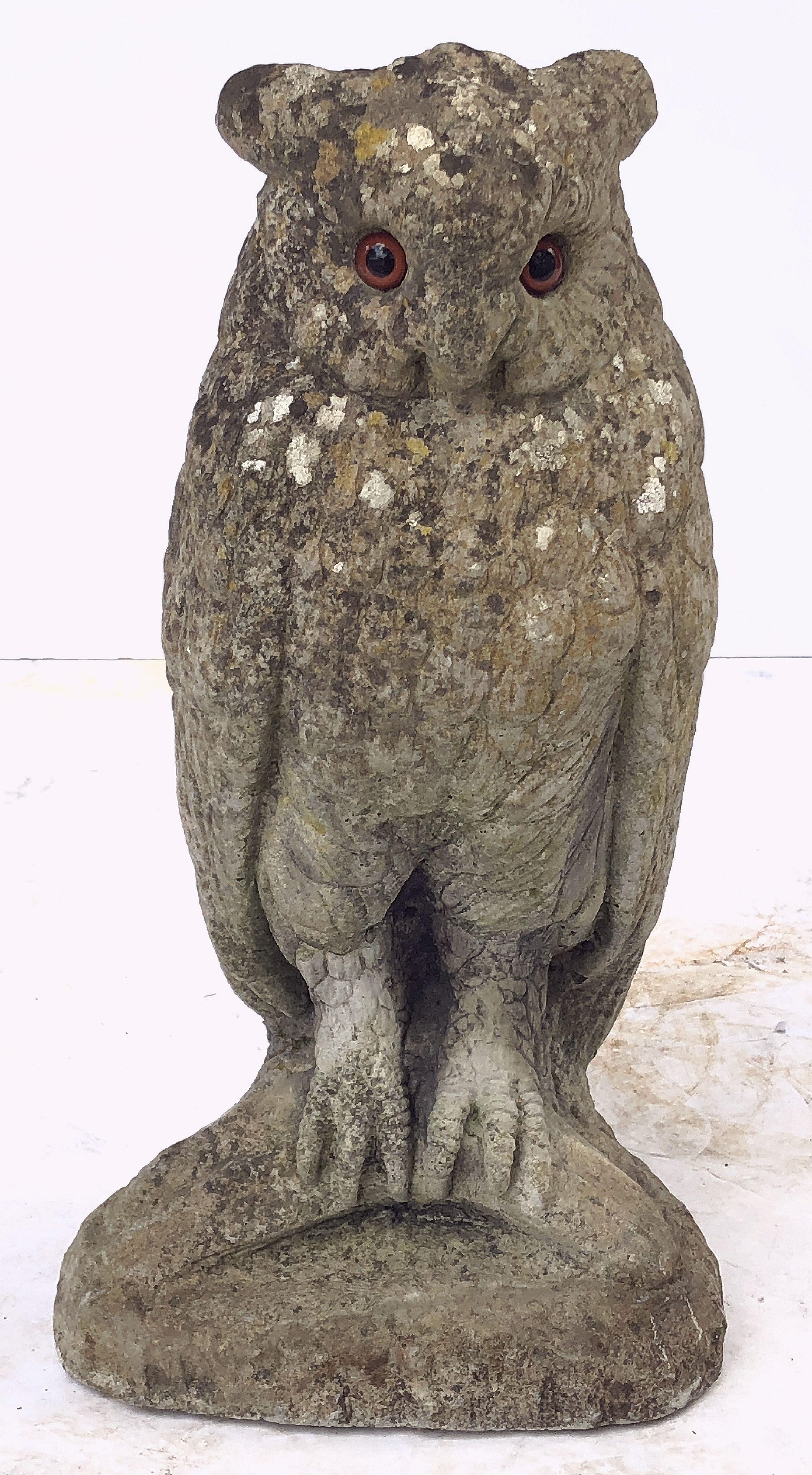 Large English Garden Stone Owl Statues with Glass Eyes 'Individually Priced' 8