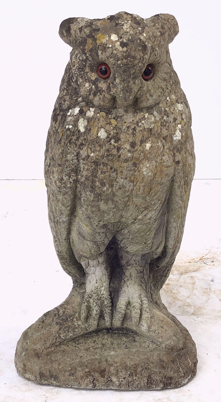 Large English Garden Stone Owl Statues with Glass Eyes 'Individually