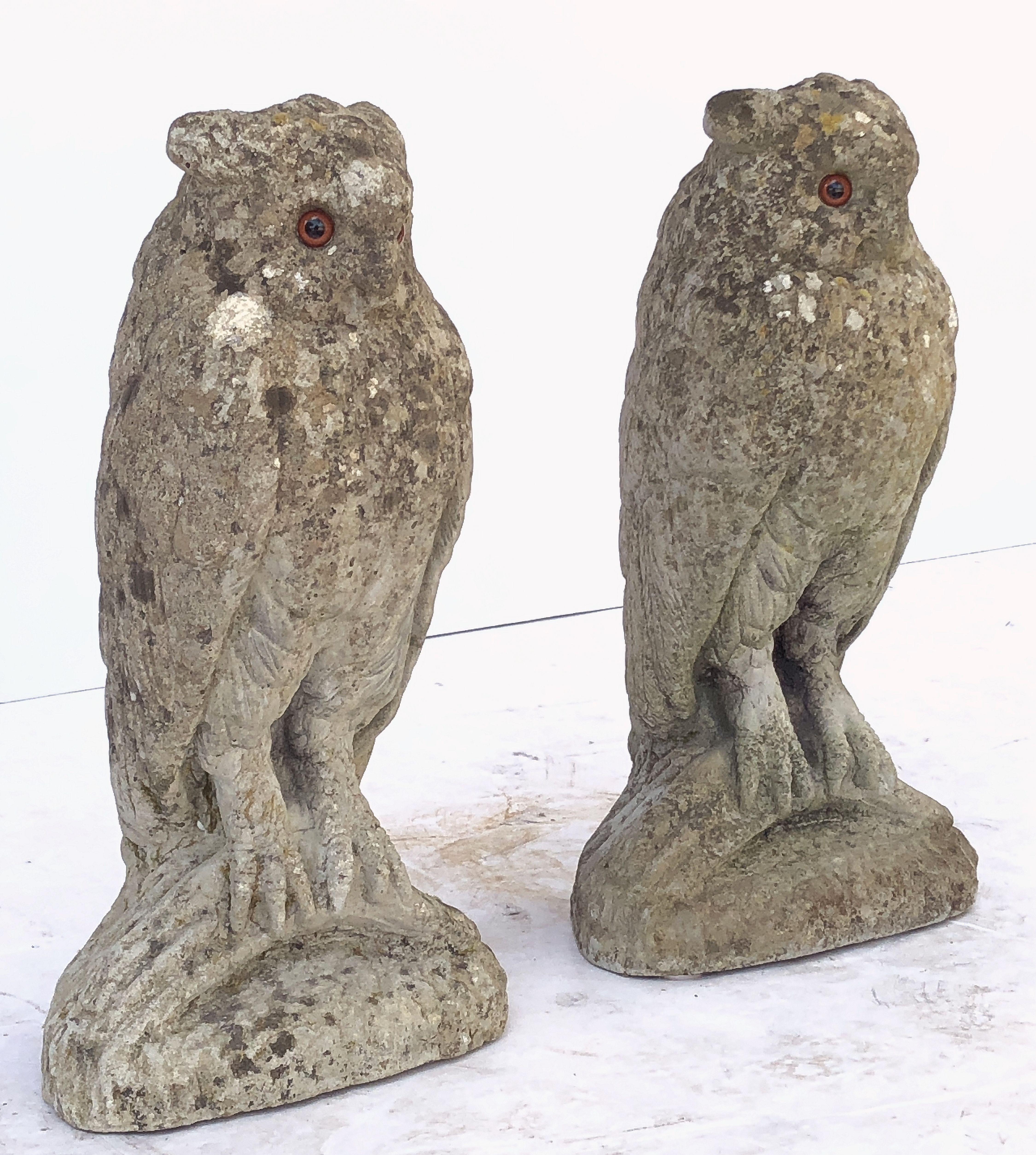 A pair of large English owl statues of composition stone, each owl featuring a standing in-the-round pose.

Individually priced - $1995 each owl.