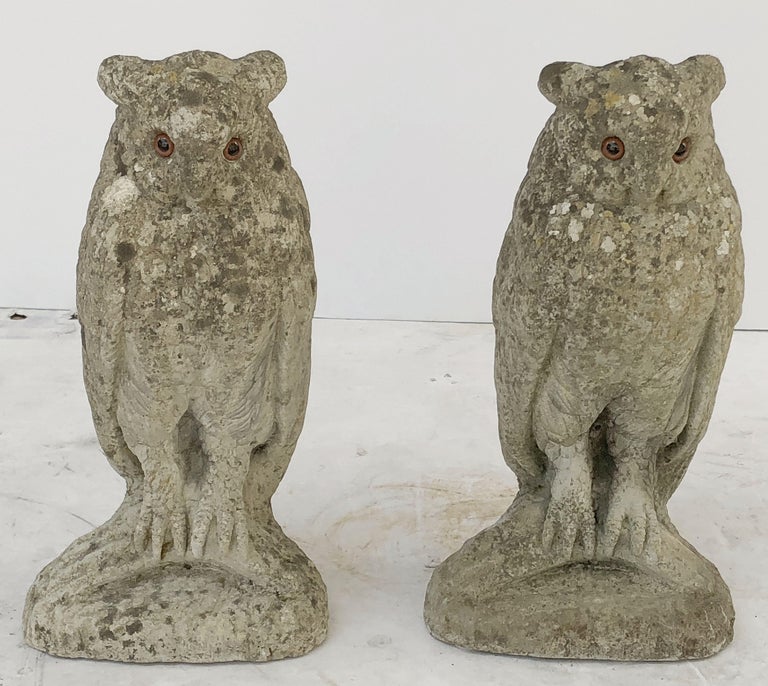 Large English Garden Stone Owl Statues with Glass Eyes 'Individually