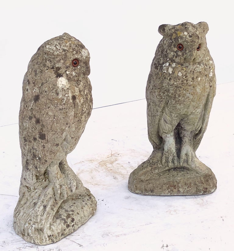 Large English Garden Stone Owl Statues with Glass Eyes 'Individually