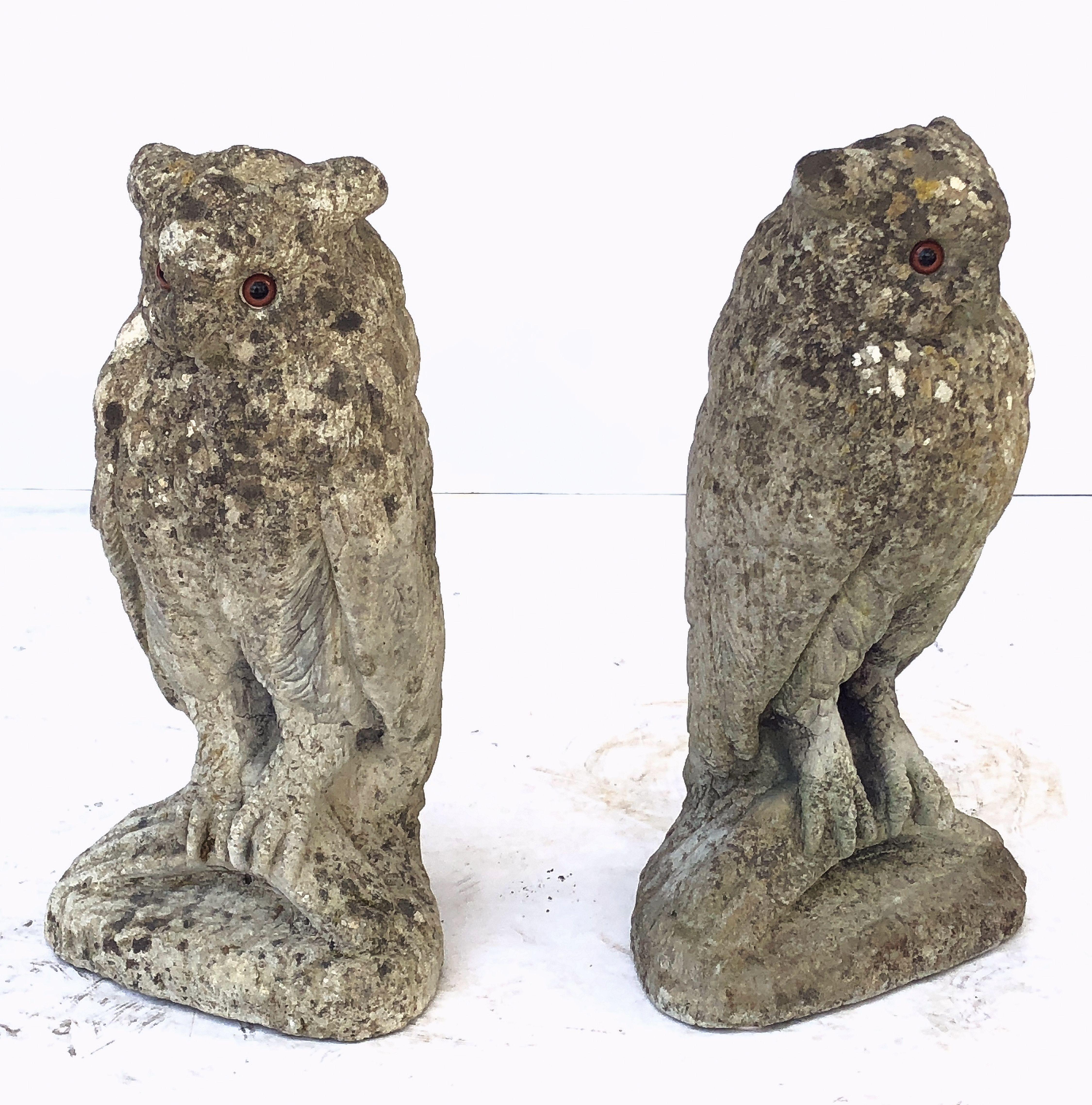 Large English Garden Stone Owl Statues with Glass Eyes 'Individually Priced' In Good Condition In Austin, TX