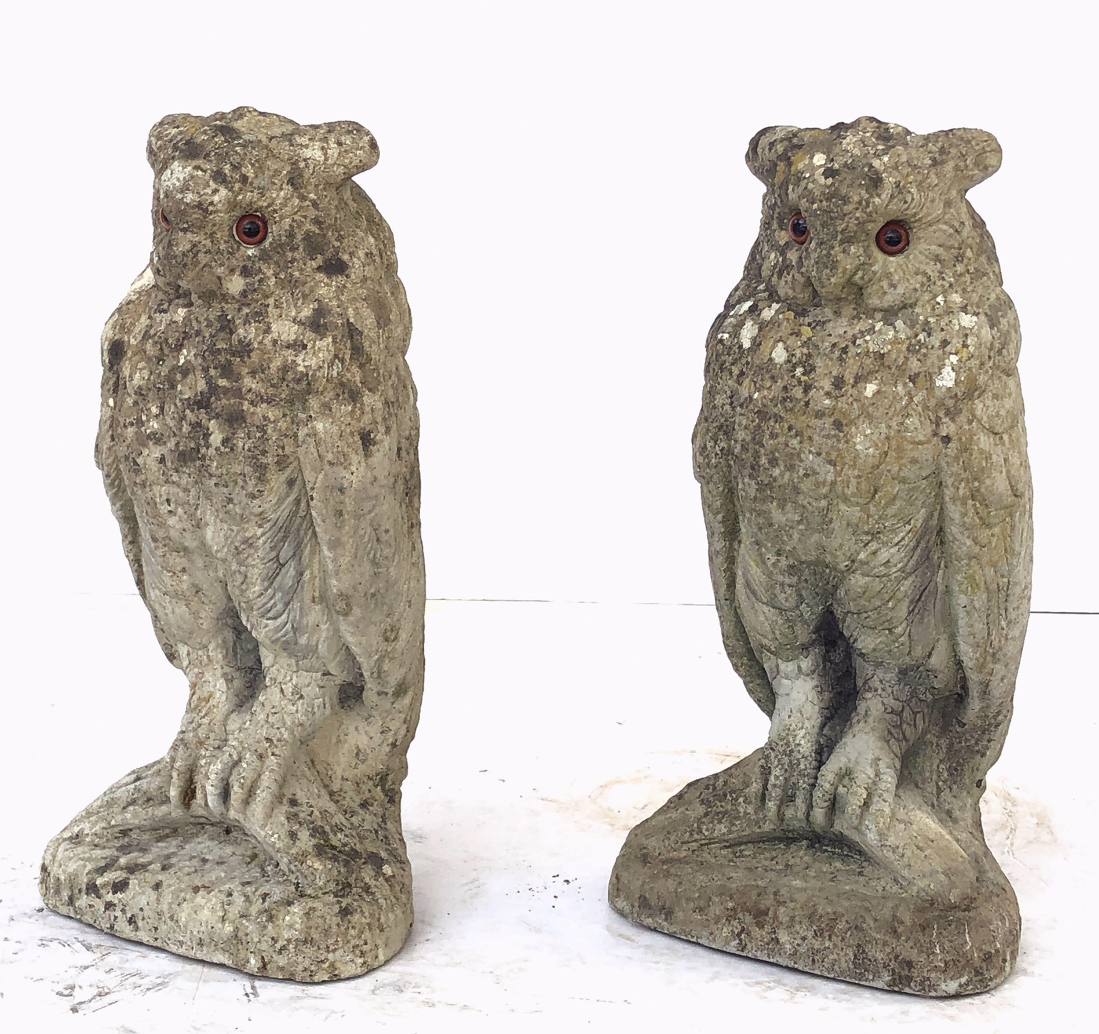20th Century Large English Garden Stone Owl Statues with Glass Eyes 'Individually Priced'