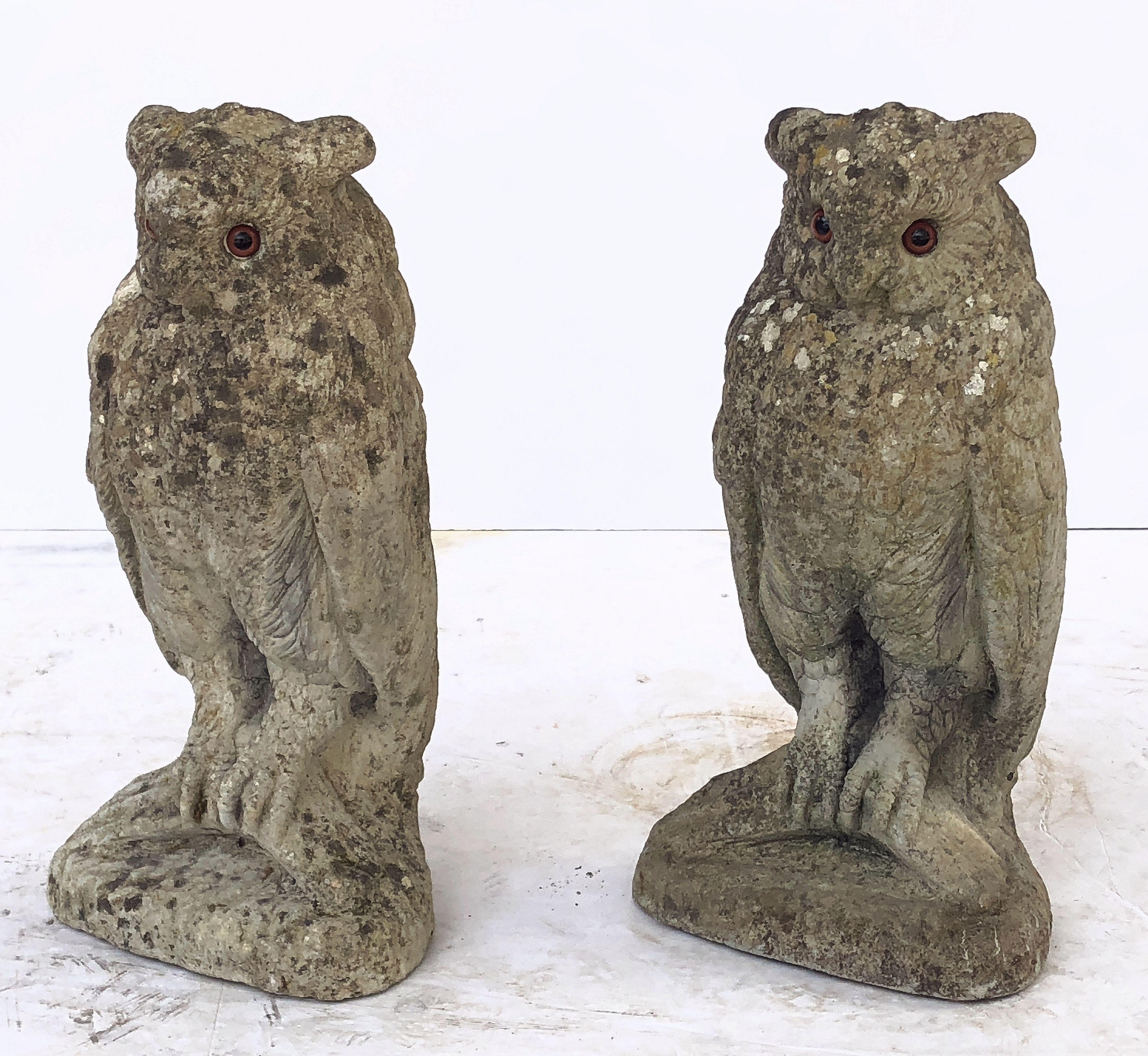 Large English Garden Stone Owl Statues with Glass Eyes 'Individually Priced' 1