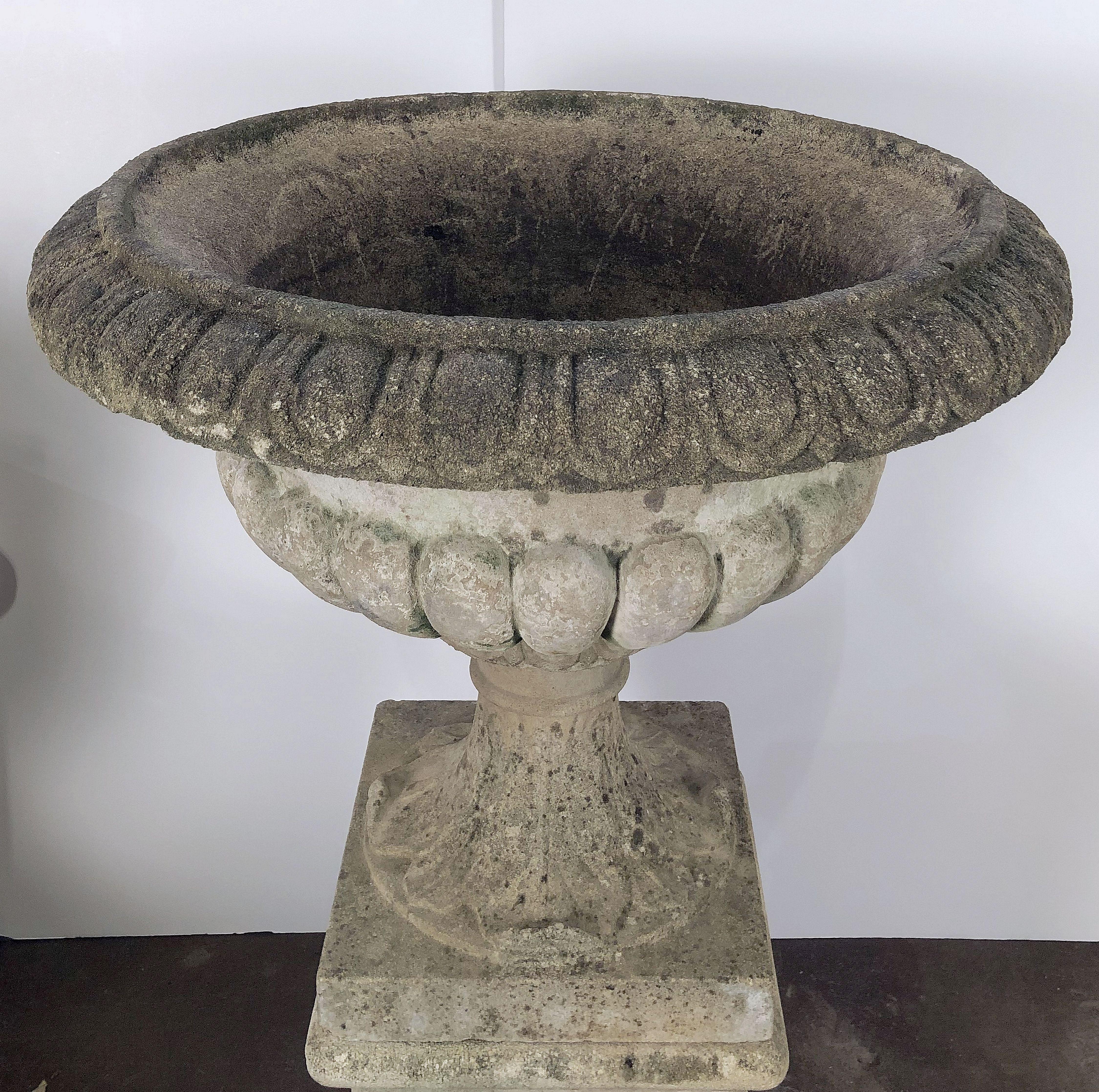 Large English Garden Stone Urn or Planter Pot on Plinth or Pedestal 4