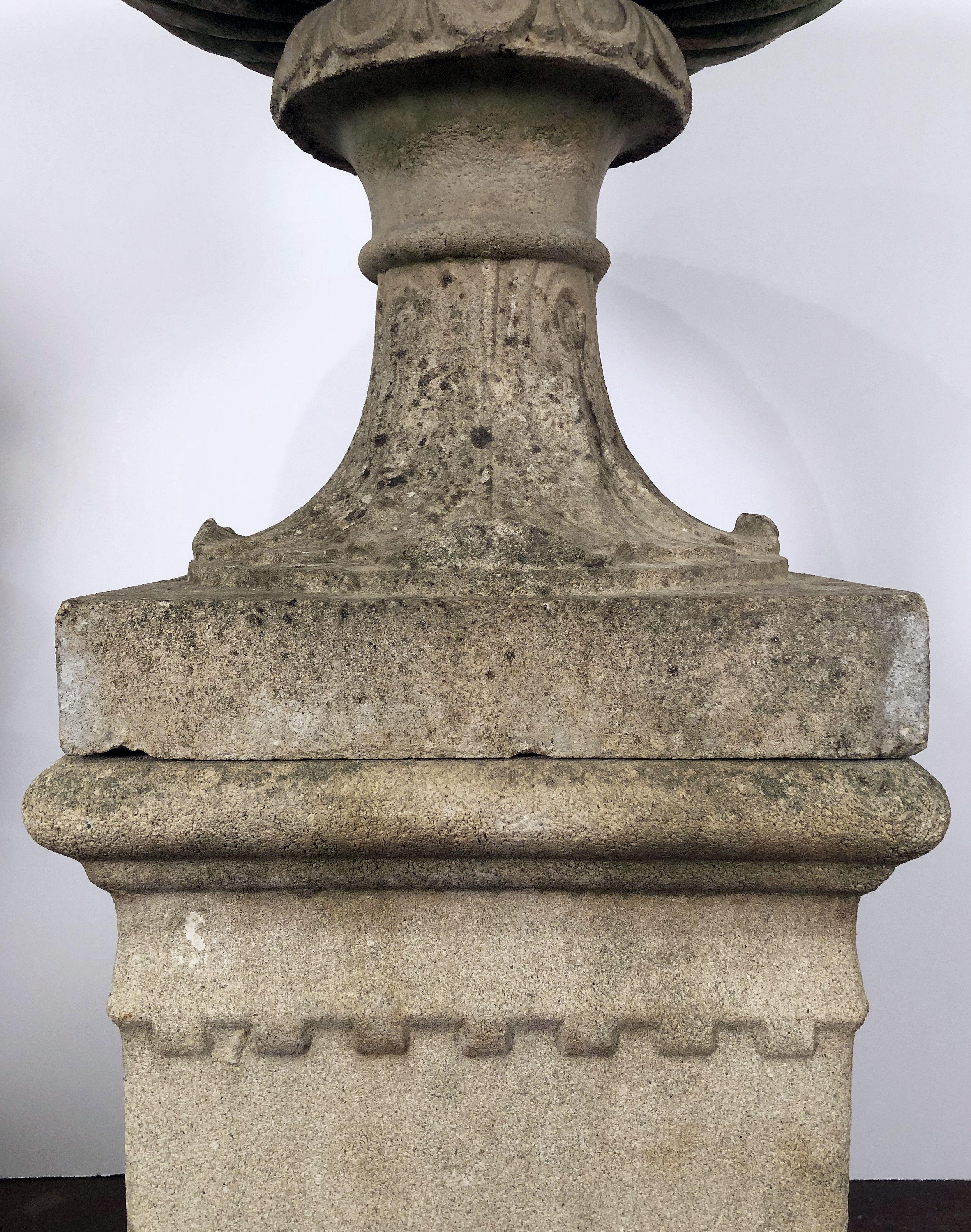 Large English Garden Stone Urn or Planter Pot on Plinth or Pedestal 7