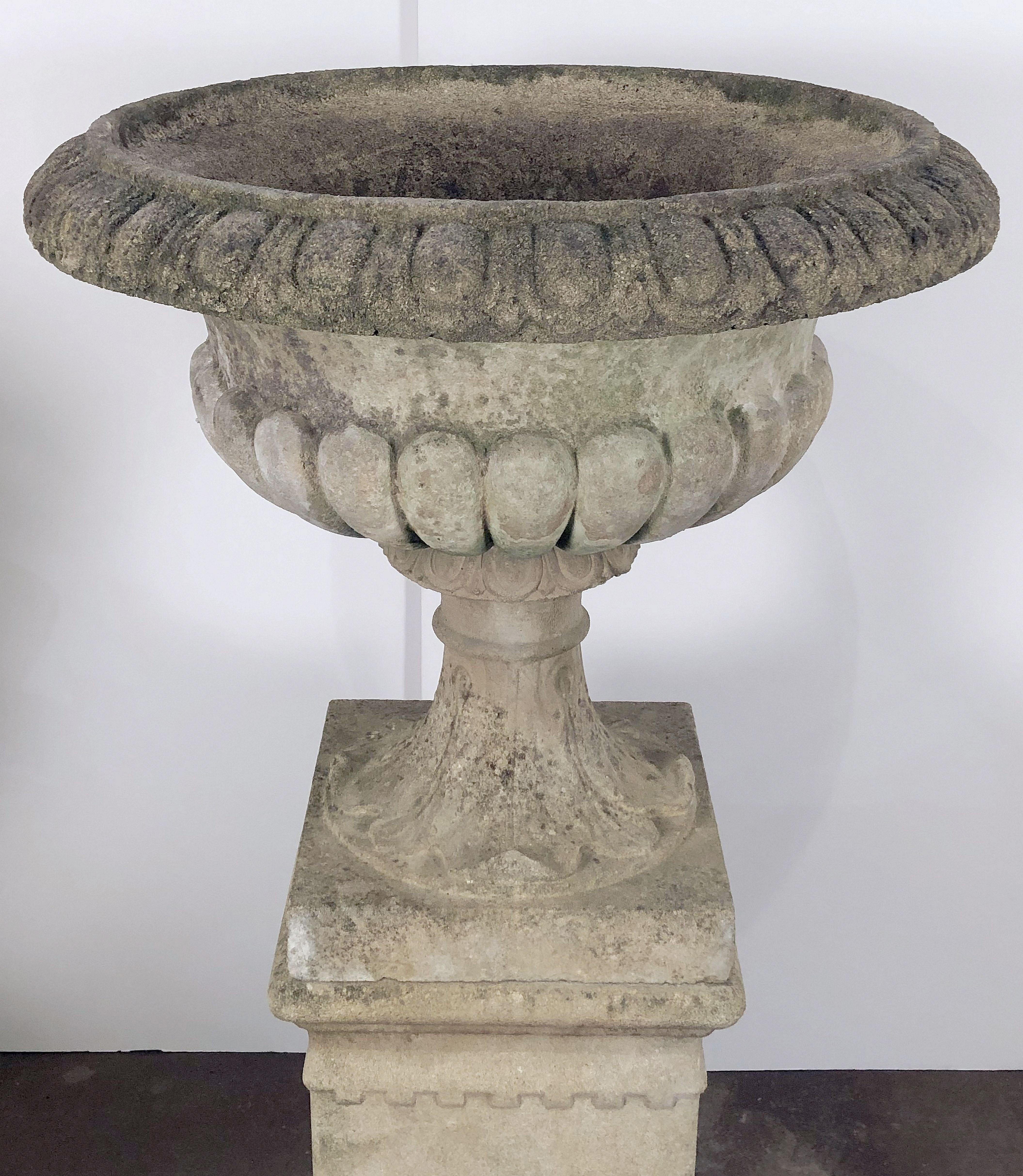 Large English Garden Stone Urn or Planter Pot on Plinth or Pedestal 8
